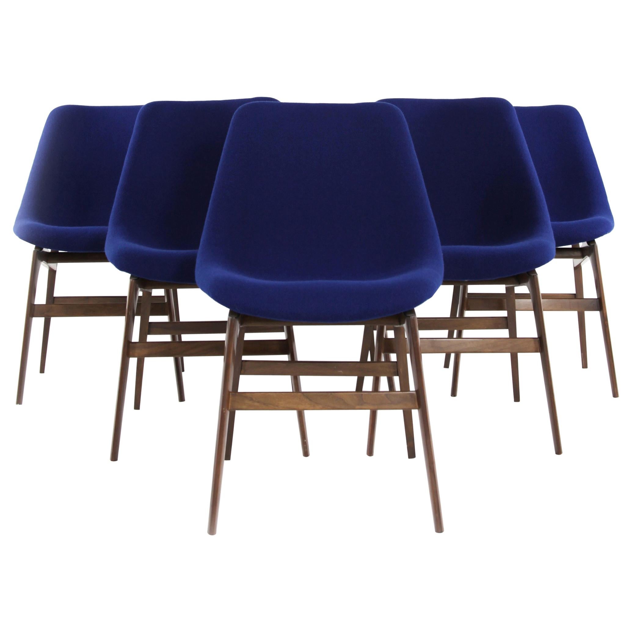 Mid-Century Modern Ensemble de six chaises de salle à manger bleues « Vittorio Dassi », Italie, années 1950 en vente