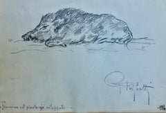 Set of Six Italian Pencil Drawings of Animals, Guido Righetti, 1919
