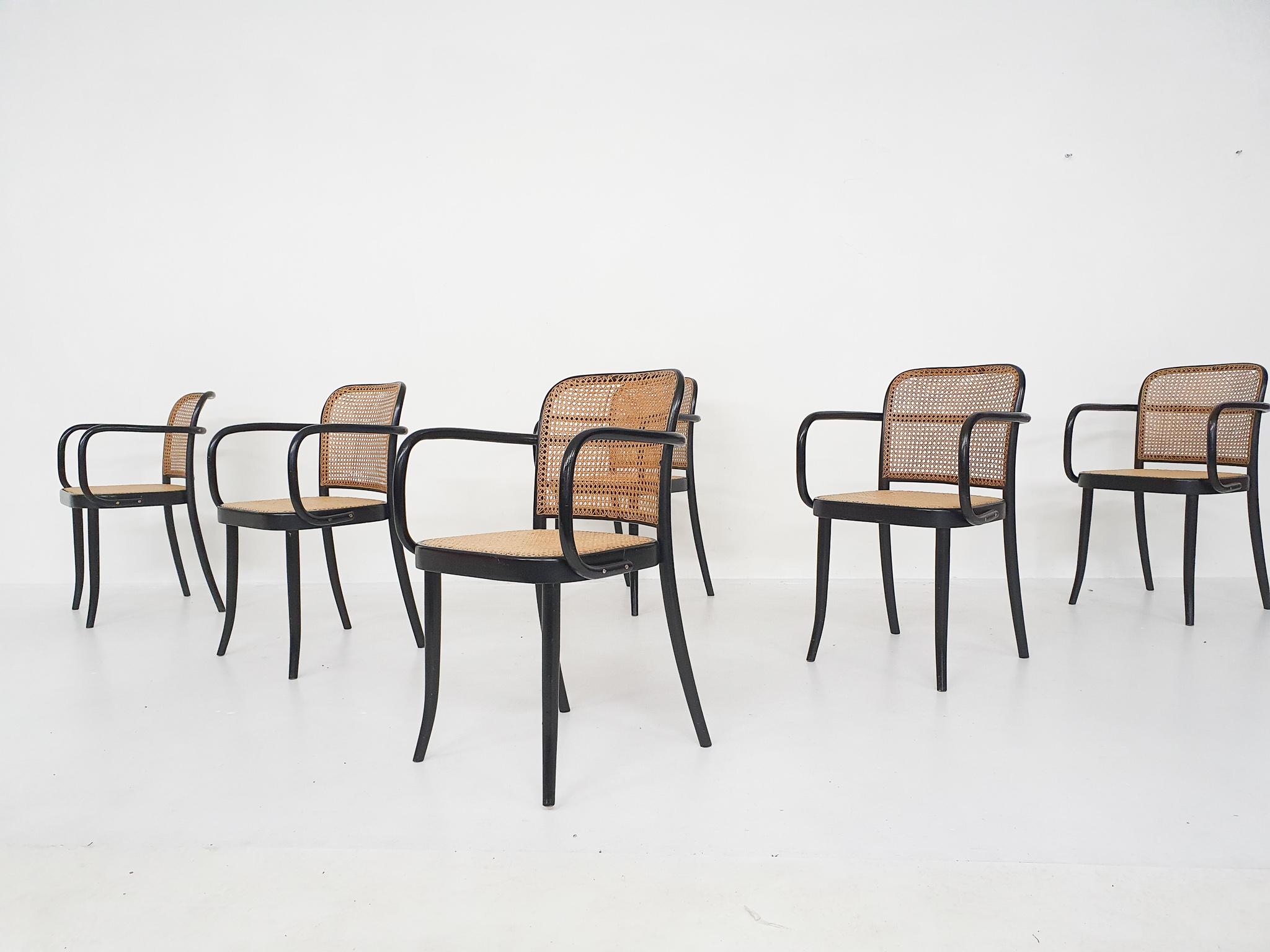 Czech Set of Six Josef Hoffman for Thonet A811 Dining Chairs