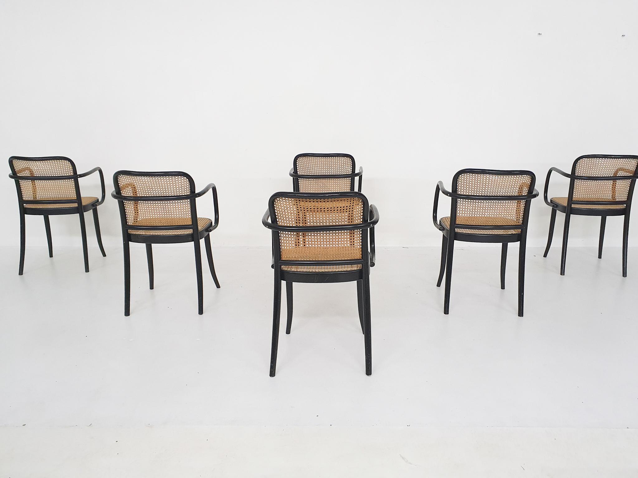 Rattan Set of Six Josef Hoffman for Thonet A811 Dining Chairs