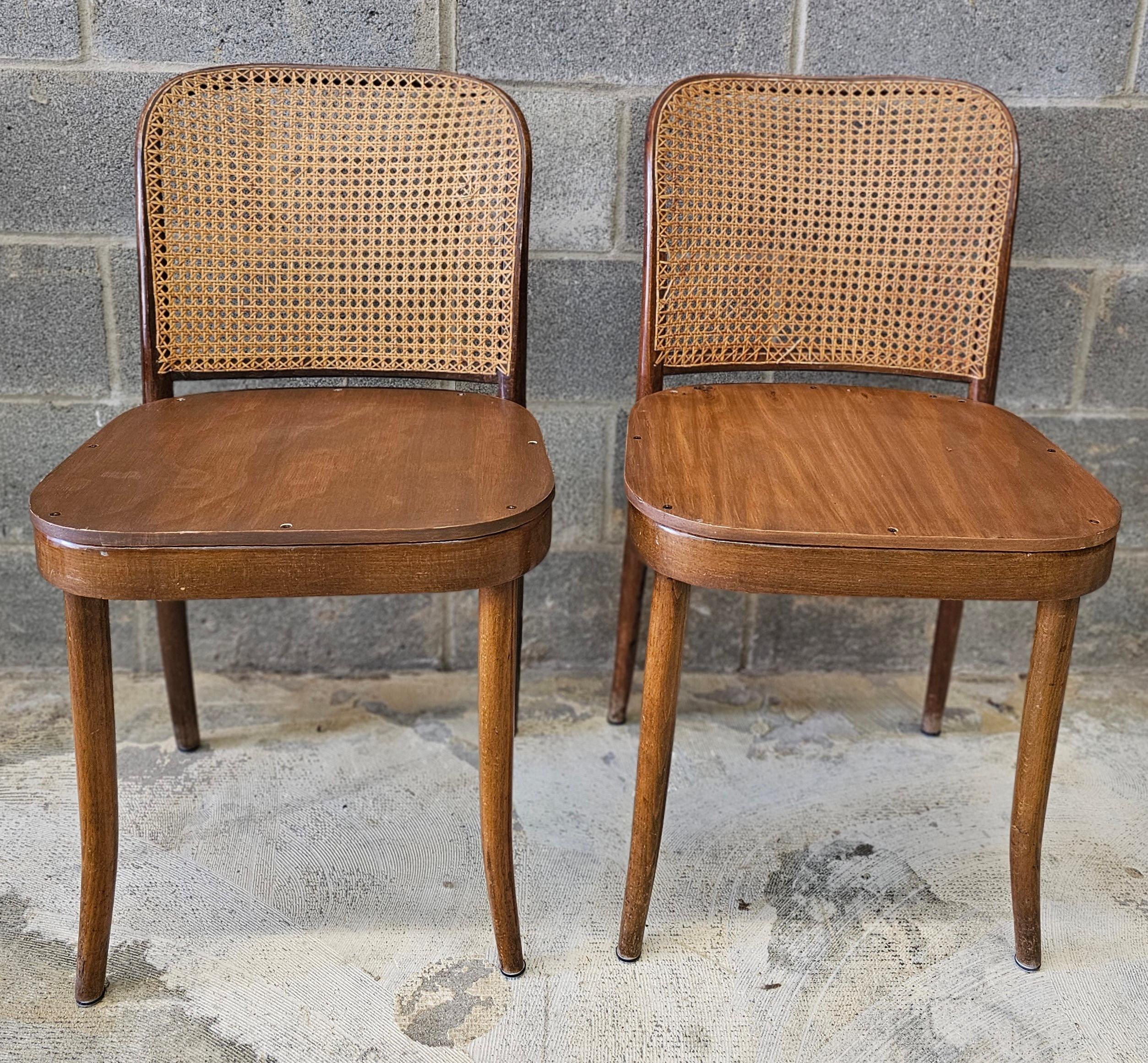 Juego de seis sillas de Praga de madera curvada y caña modelo 811 de Josef Hoffmann para Stendig Moderno de mediados de siglo en venta