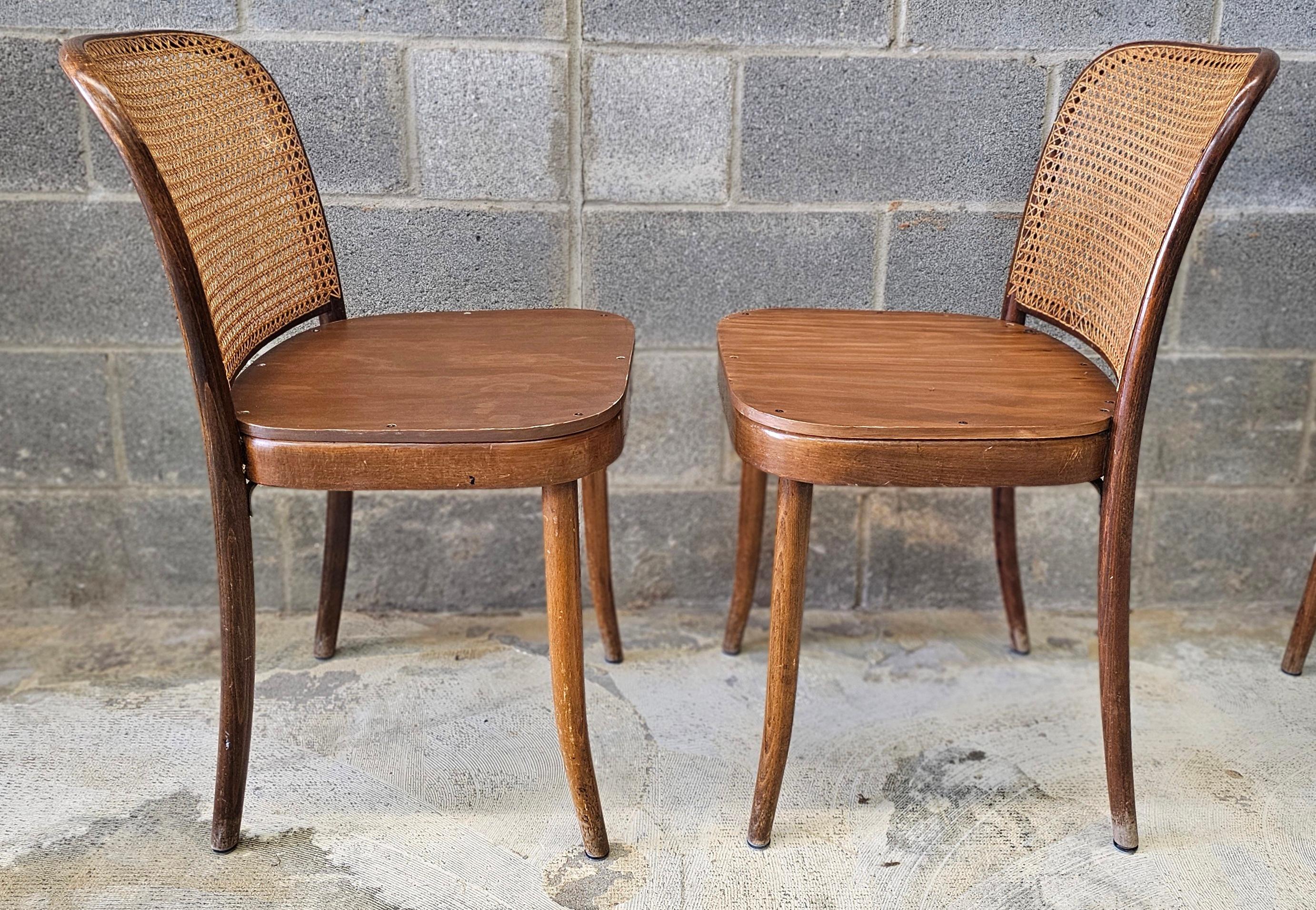 Juego de seis sillas de Praga de madera curvada y caña modelo 811 de Josef Hoffmann para Stendig Checo en venta
