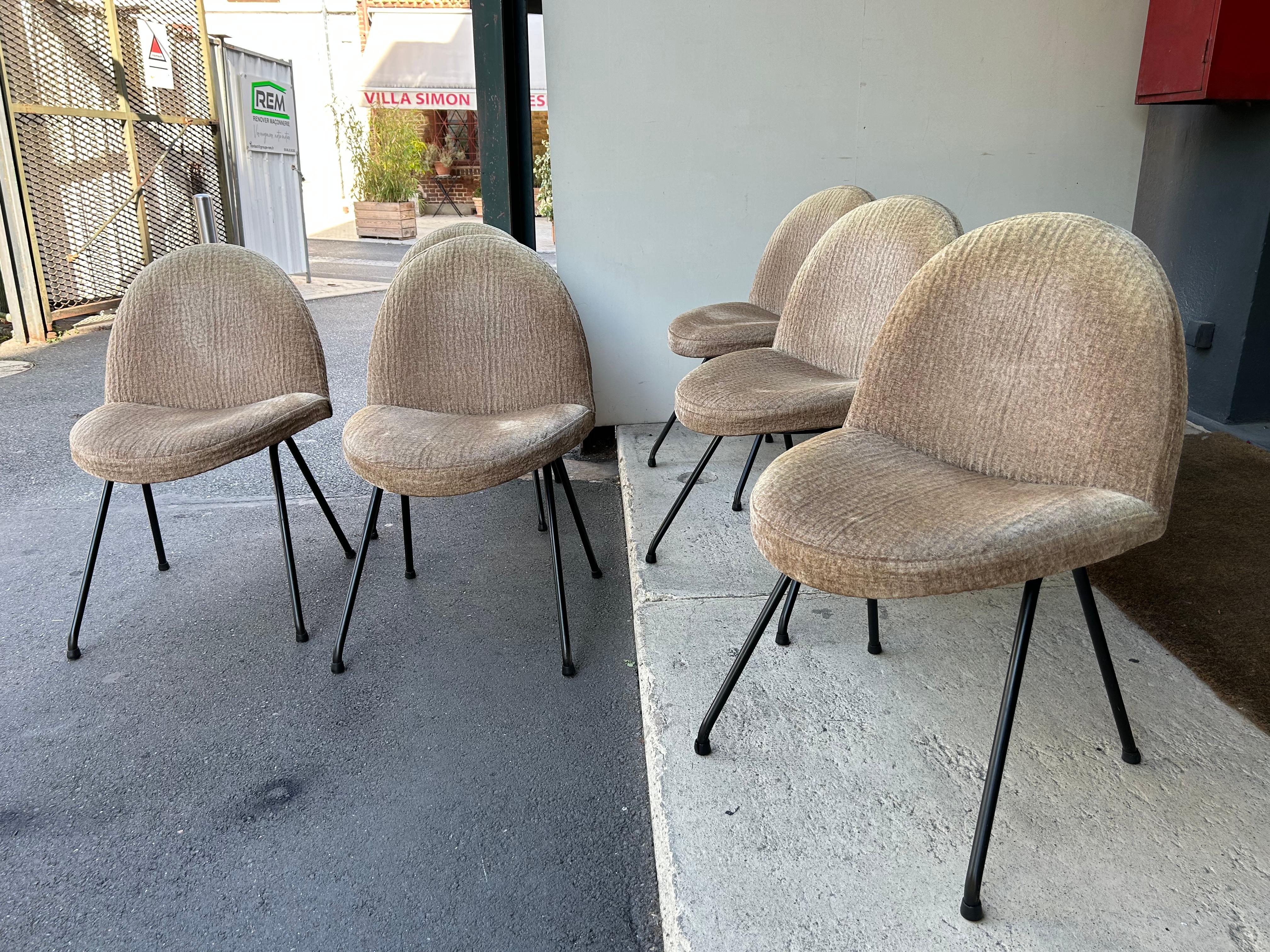 Set of six Joseph-André Motte chairs, model 771 for Steiner, France, 1950s
