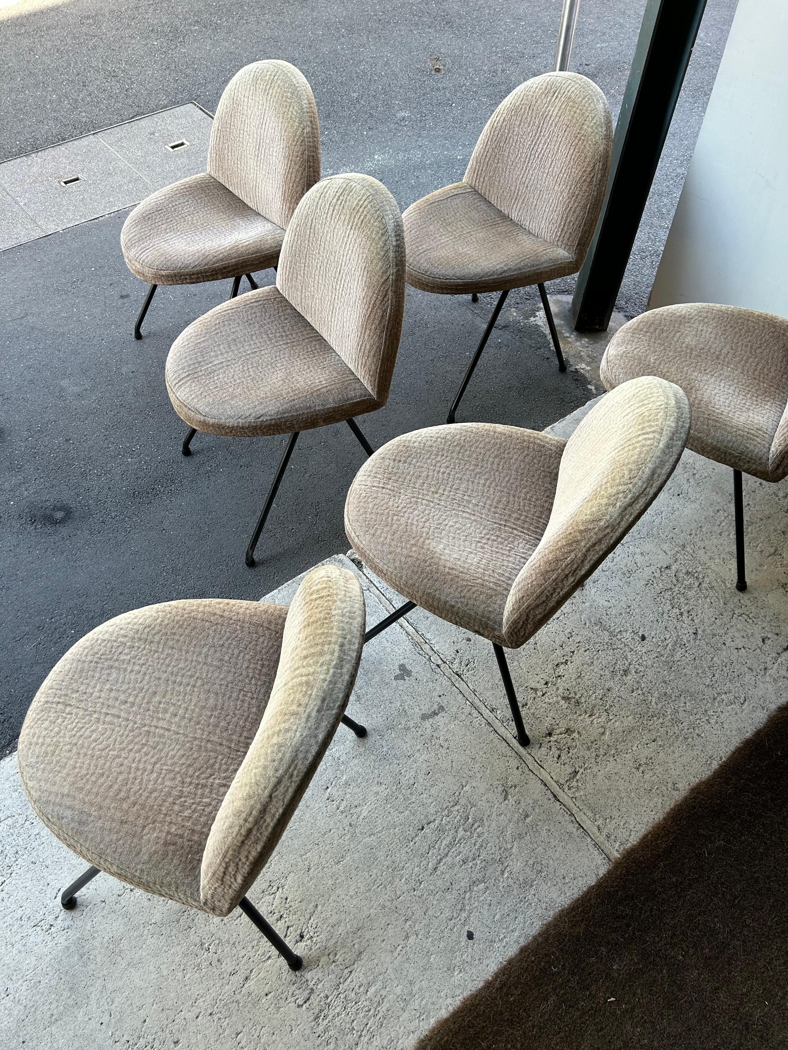 Mid-20th Century Set of six Joseph-André Motte chairs, model 771 for Steiner, France, 1950s