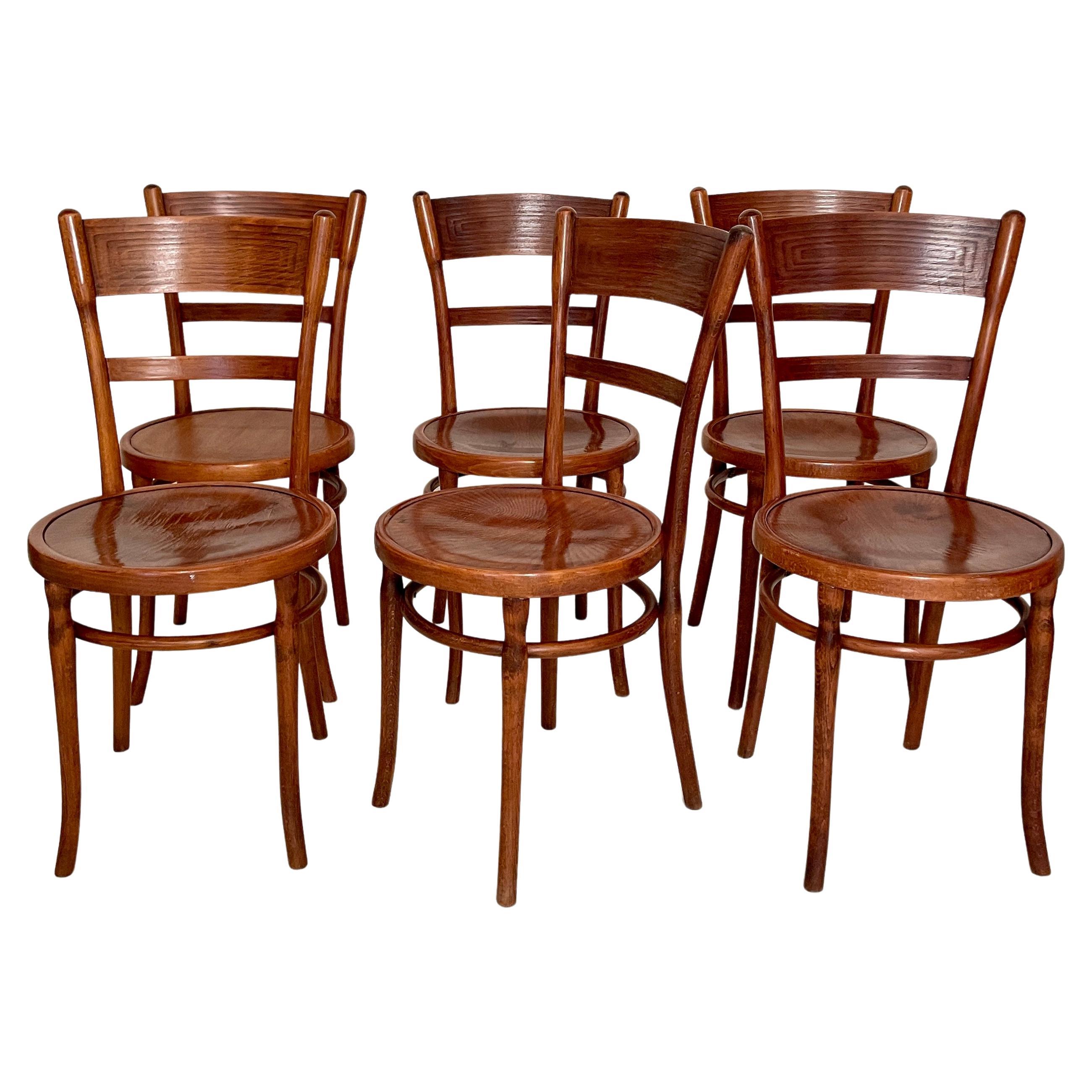 Set of Six Bentwood Dining Chairs in Old Finish, circa 1930 at 1stDibs