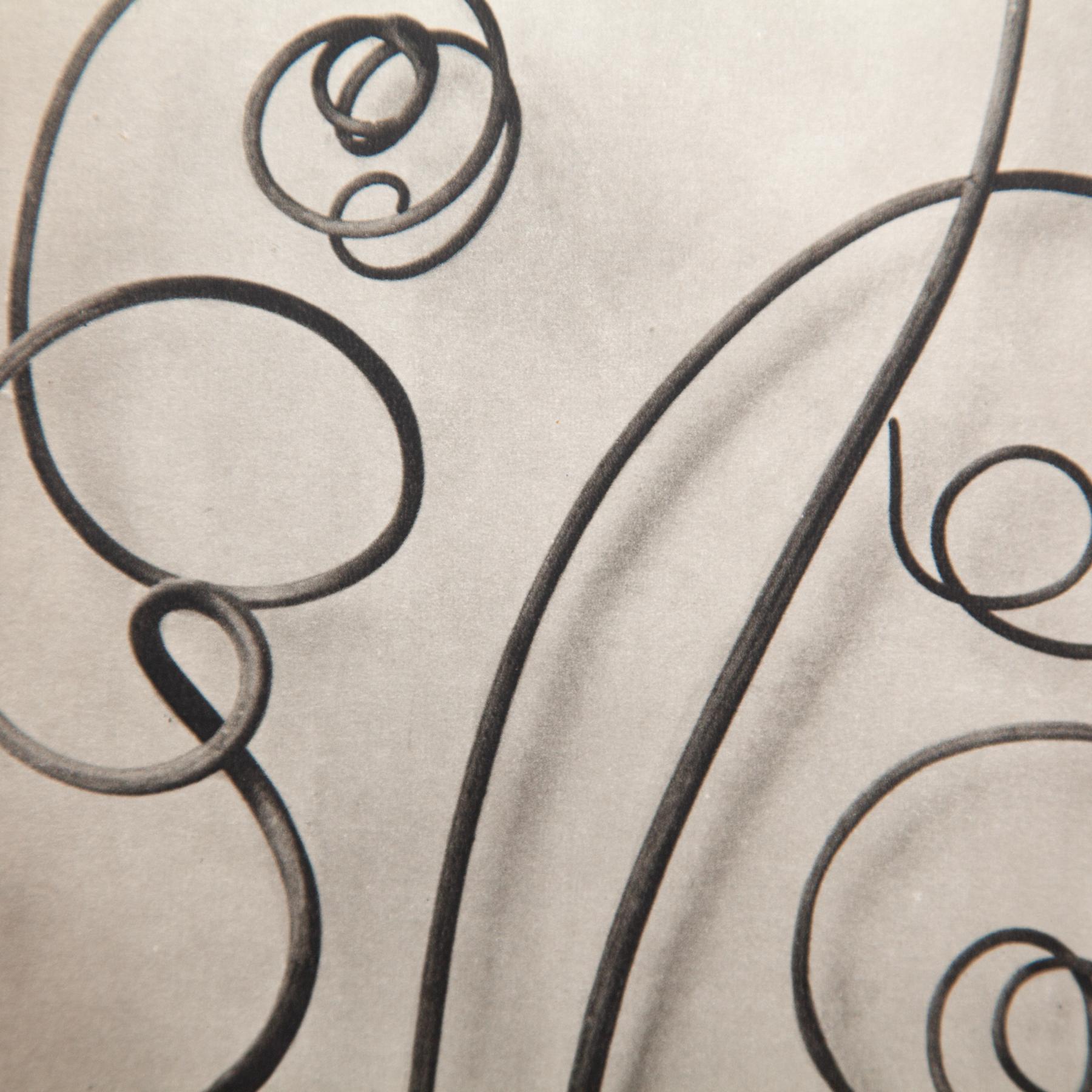 Set di sei fotogrammi incorniciati di Karl Blossfeldt: Natural Elegance (1942) in vendita 4