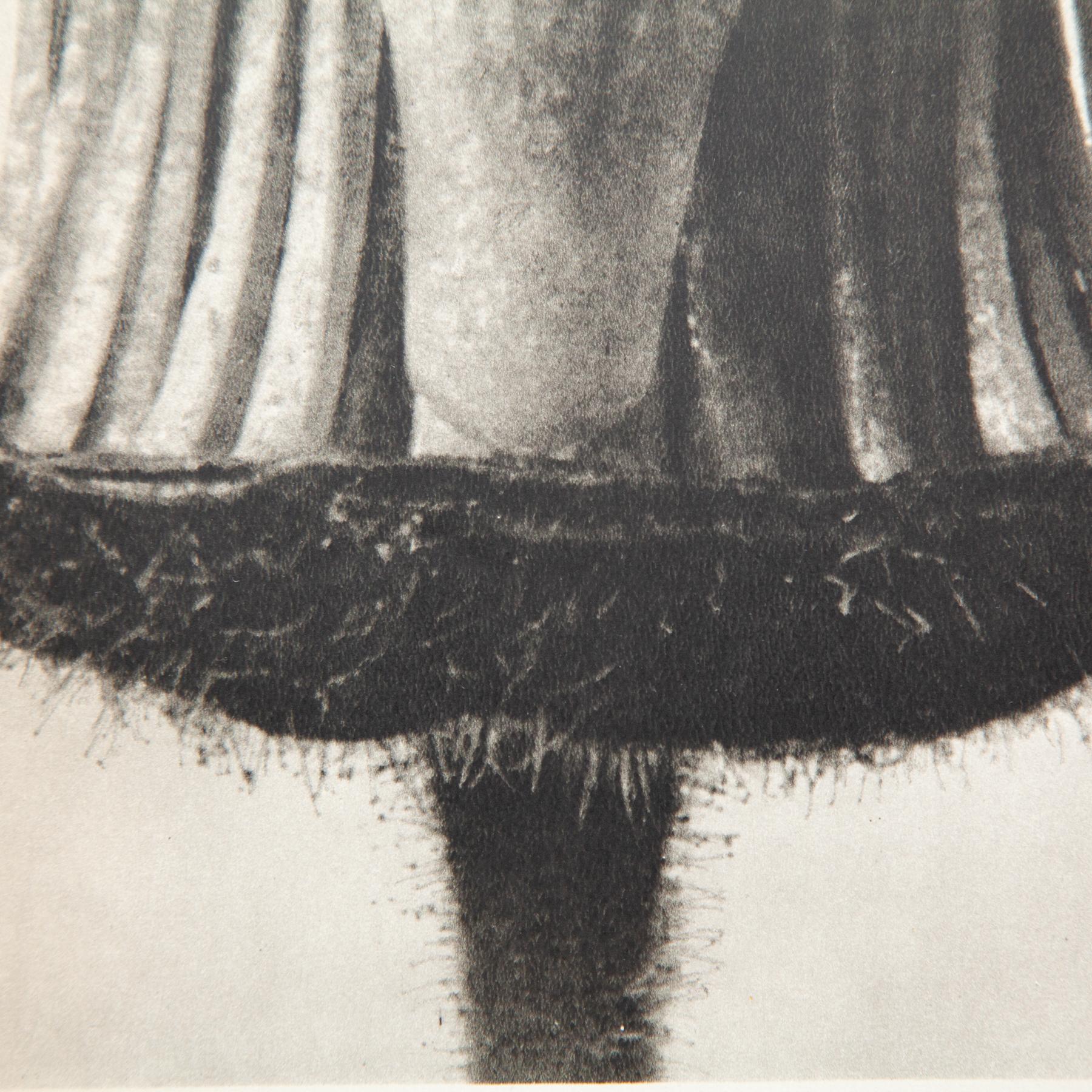 Set di sei fotogrammi incorniciati di Karl Blossfeldt: Natural Elegance (1942) in vendita 8