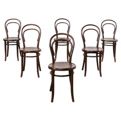 Ensemble de six chaises de bar en bois cintré étiqueté Thonet n° 14 
