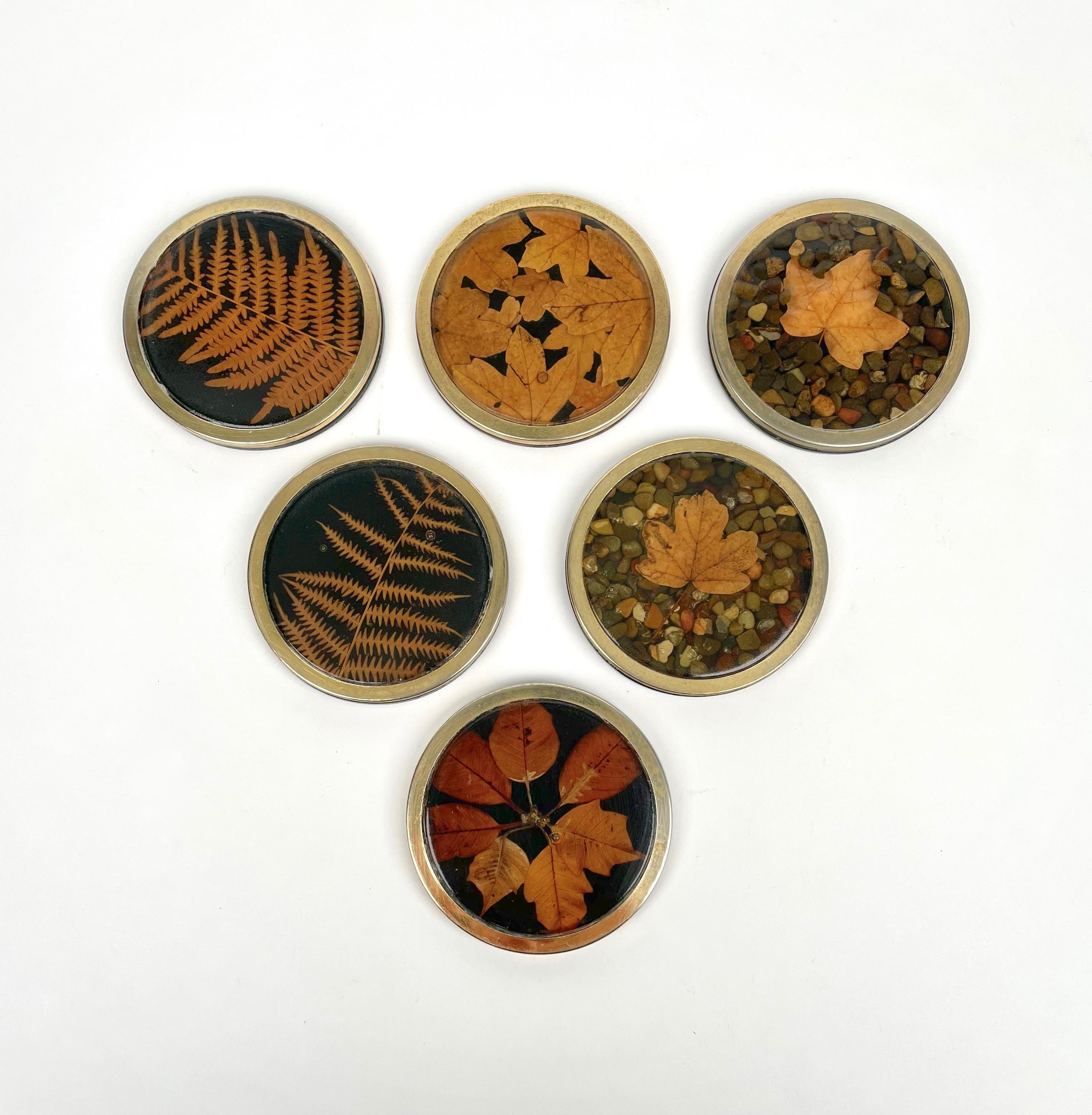 Six barware coaster with leaves inclusions in lucite with brass borders, in the style of Christian Dior Home. 

Made in Italy in the 1960s.
