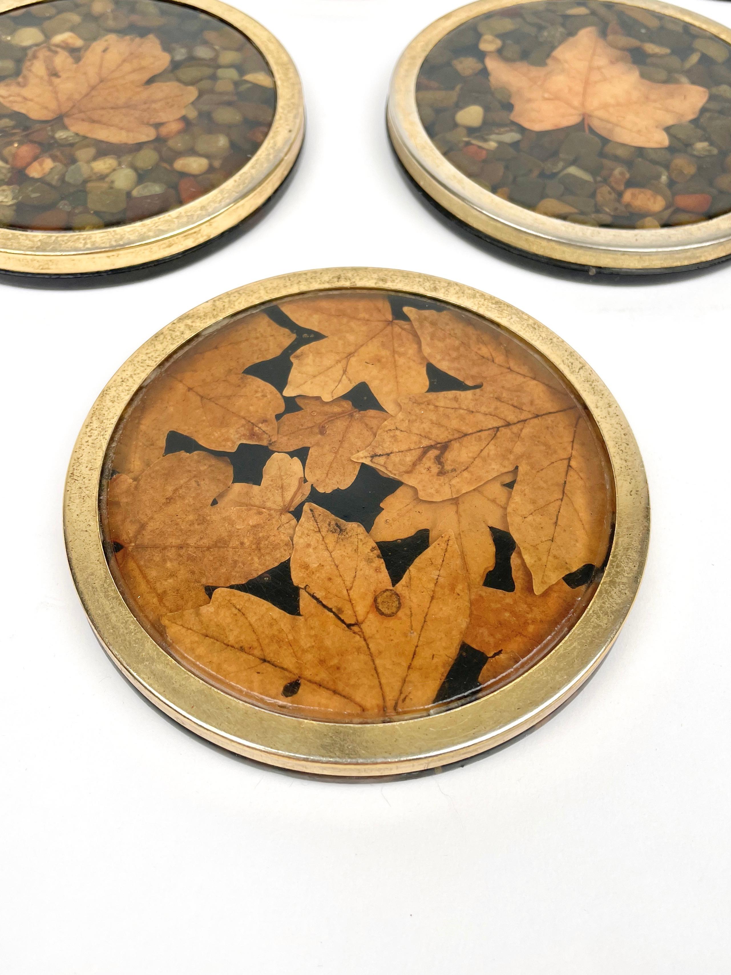 Set of Six Lucite and Brass Barware Coaster with Leaves Inclusions, Italy, 1960s For Sale 2