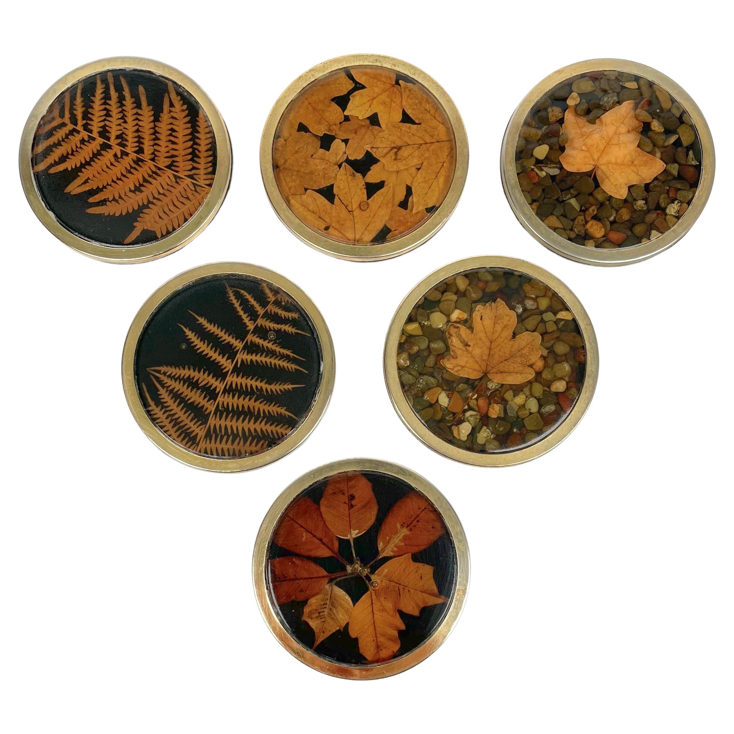 Set of Six Lucite and Brass Barware Coaster with Leaves Inclusions, Italy, 1960s