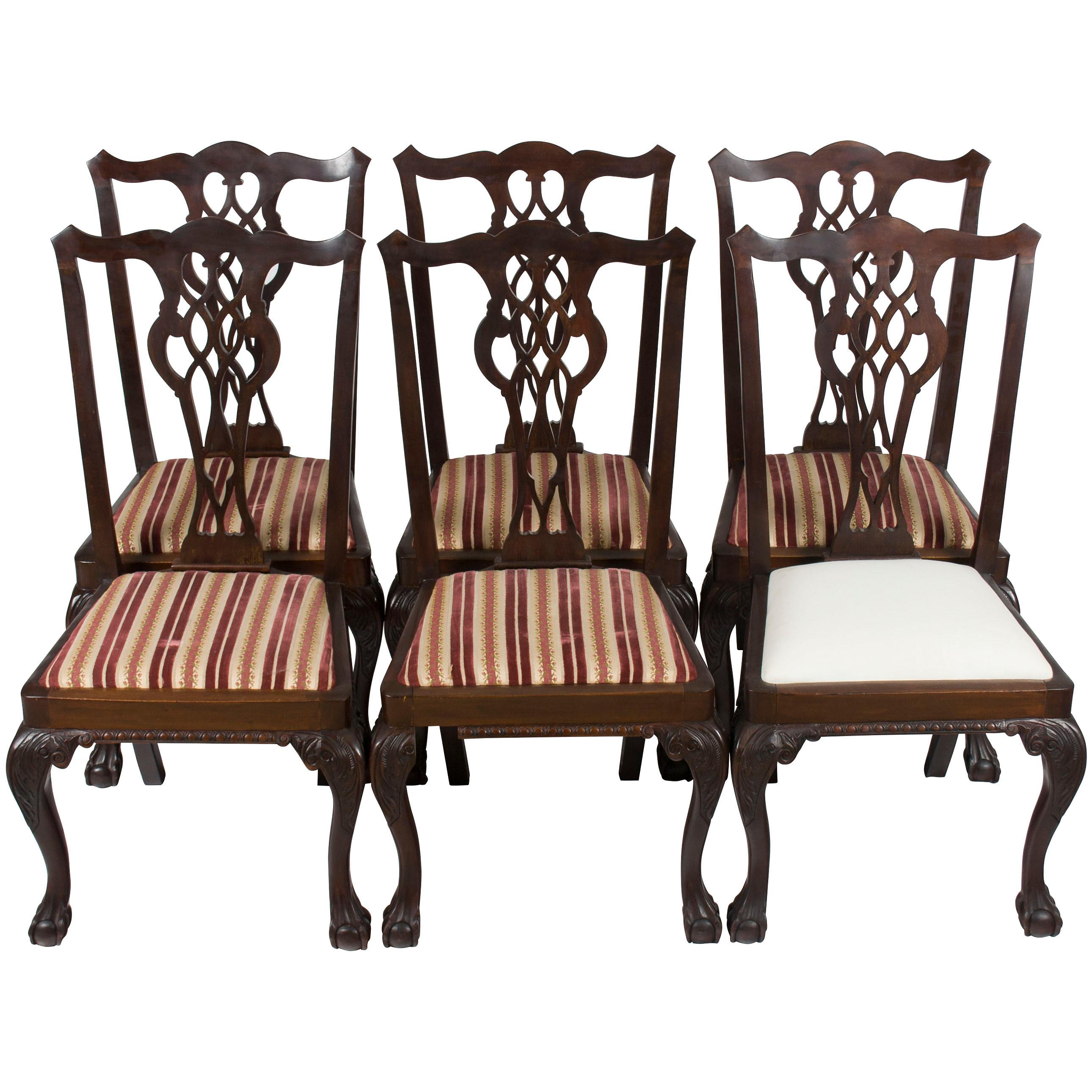 Set of Six Mahogany Carved Ball and Claw Foot Chippendale Dining Room Chairs For Sale