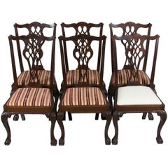Set of Six Mahogany Carved Ball and Claw Foot Chippendale Dining Room Chairs