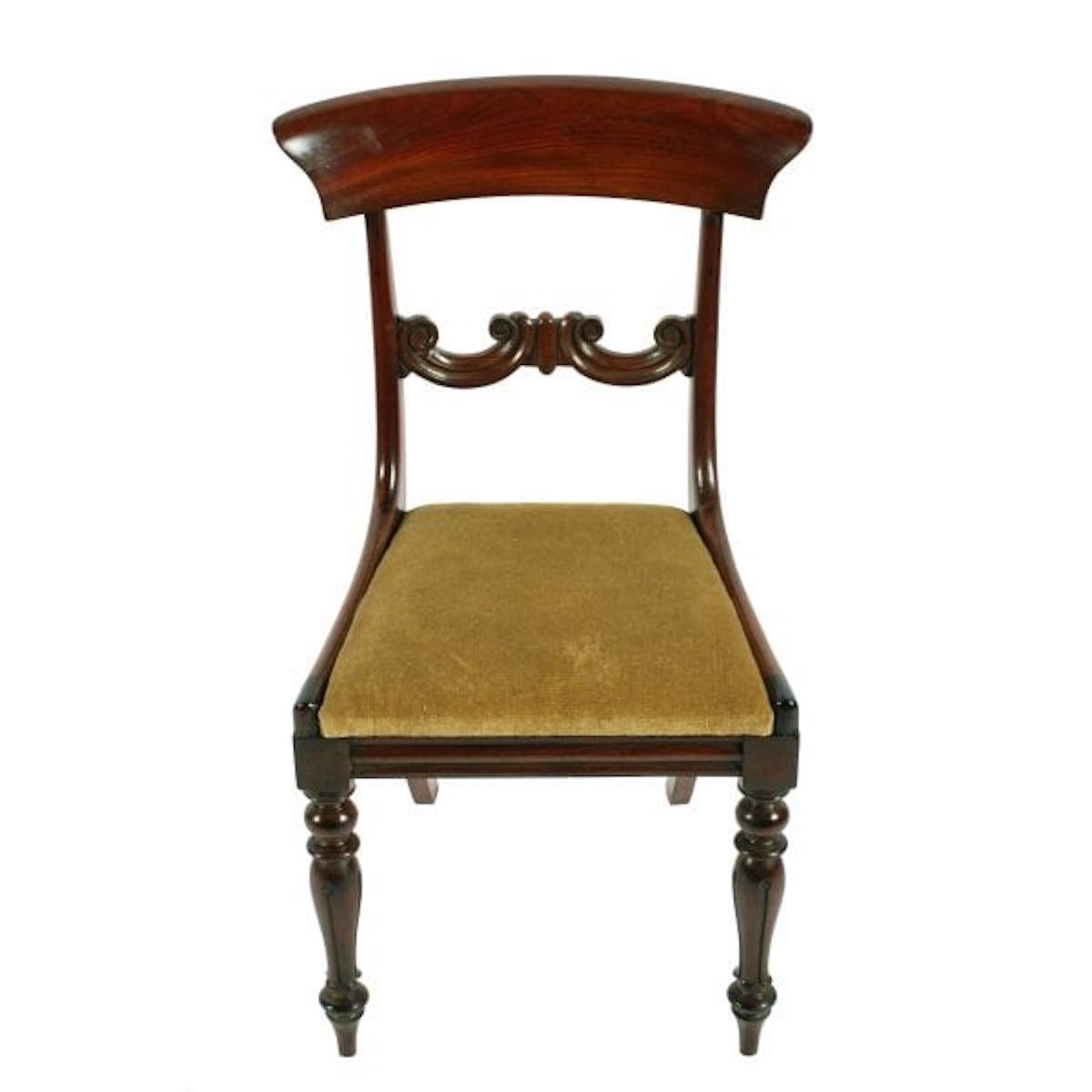 Set of Six Mahogany Chairs, 19th Century In Excellent Condition For Sale In Southall, GB