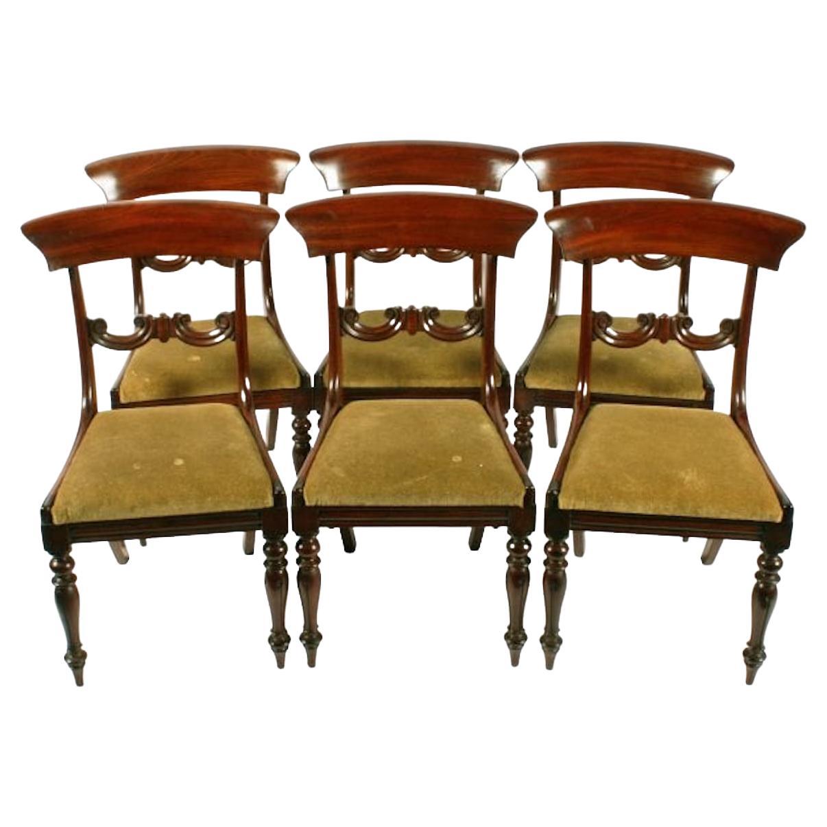 Set of Six Mahogany Chairs, 19th Century For Sale
