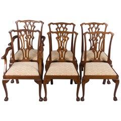 Set of Six Mahogany Chippendale Style Ball and Claw Foot Dining Room Chairs
