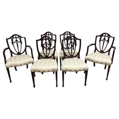 Dining Room Chairs
