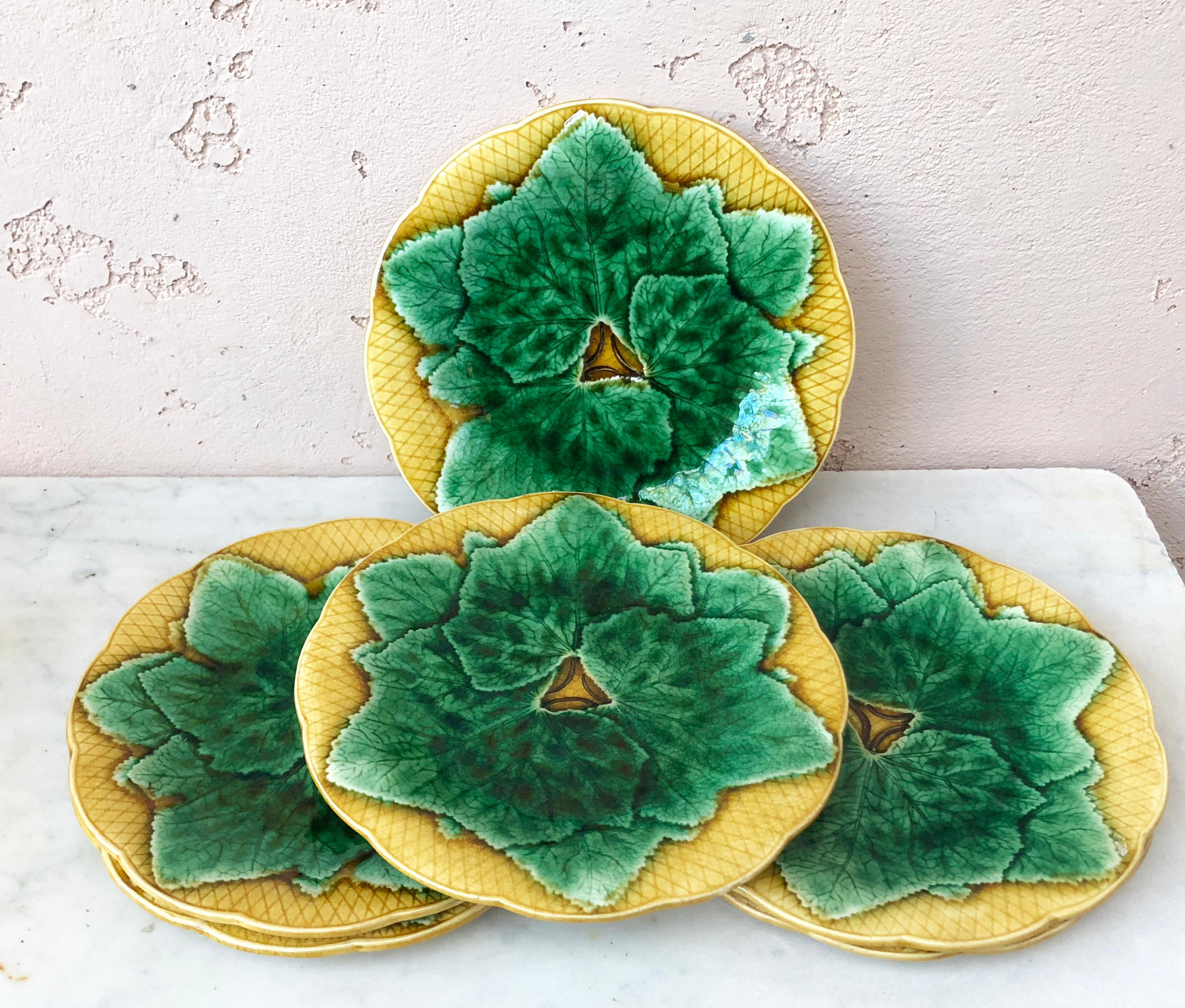 Set of six Majolica leaves plates Gien, circa 1880.
Green leaves on a yellow background basketweave.