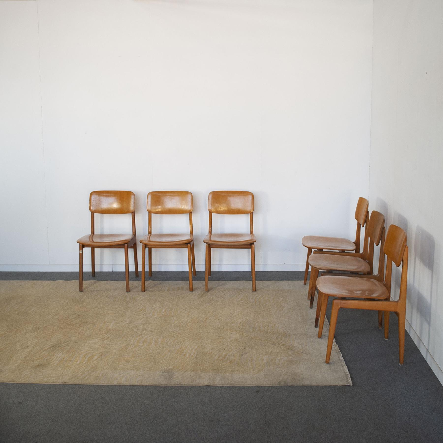 Set von sechs Stühlen in Ahornholz, exklusive Produktion für Büros Sip (Telefonie) Anonima Castelli Bologna 60s.