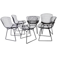 Jeu de six chaises de salle à manger Harry Bertoia pour Knoll en noir mat