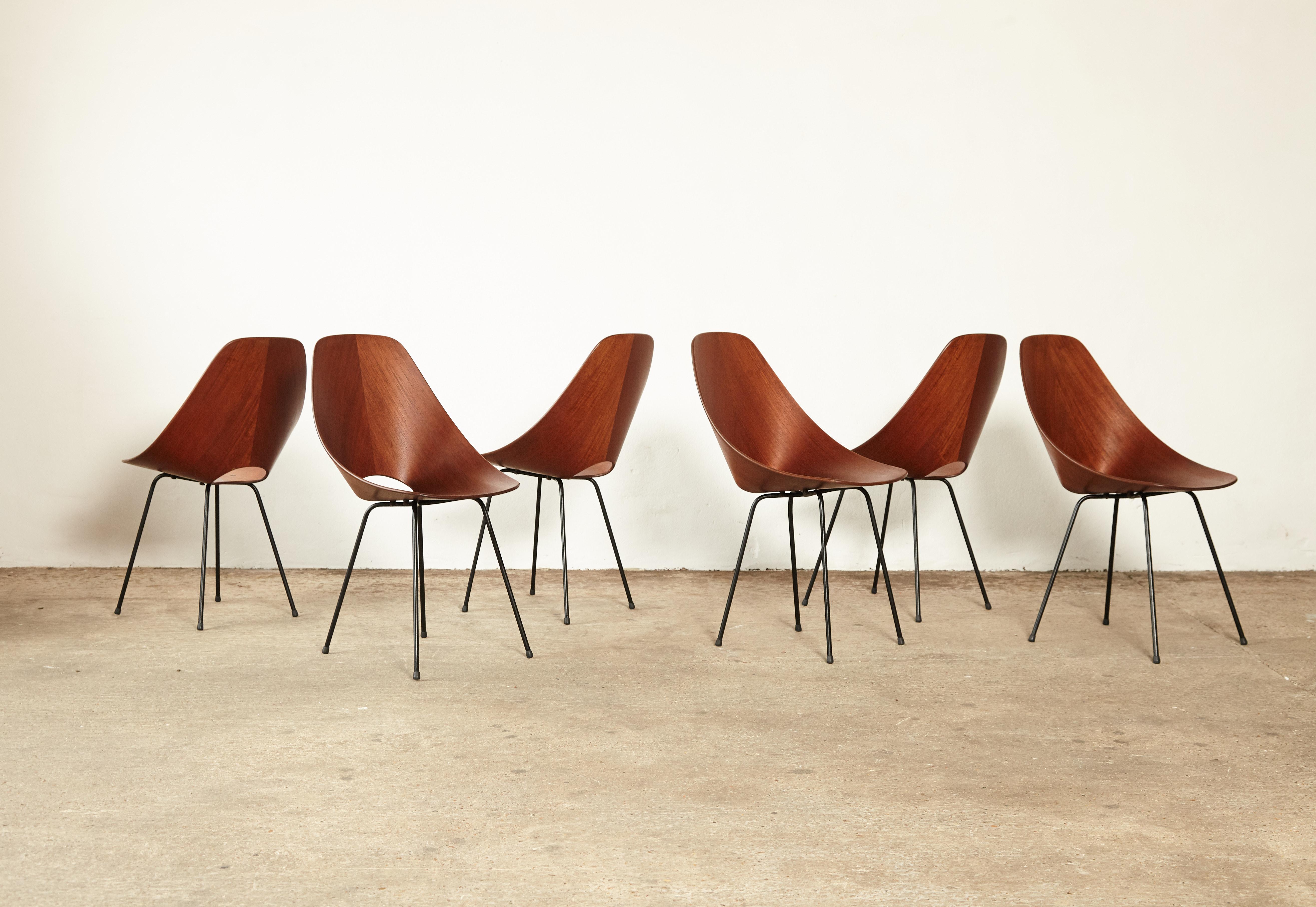 Set of Six Medea Chairs by Vittorio Nobili for Fratelli Tagliabue, Italy, 1950s 6