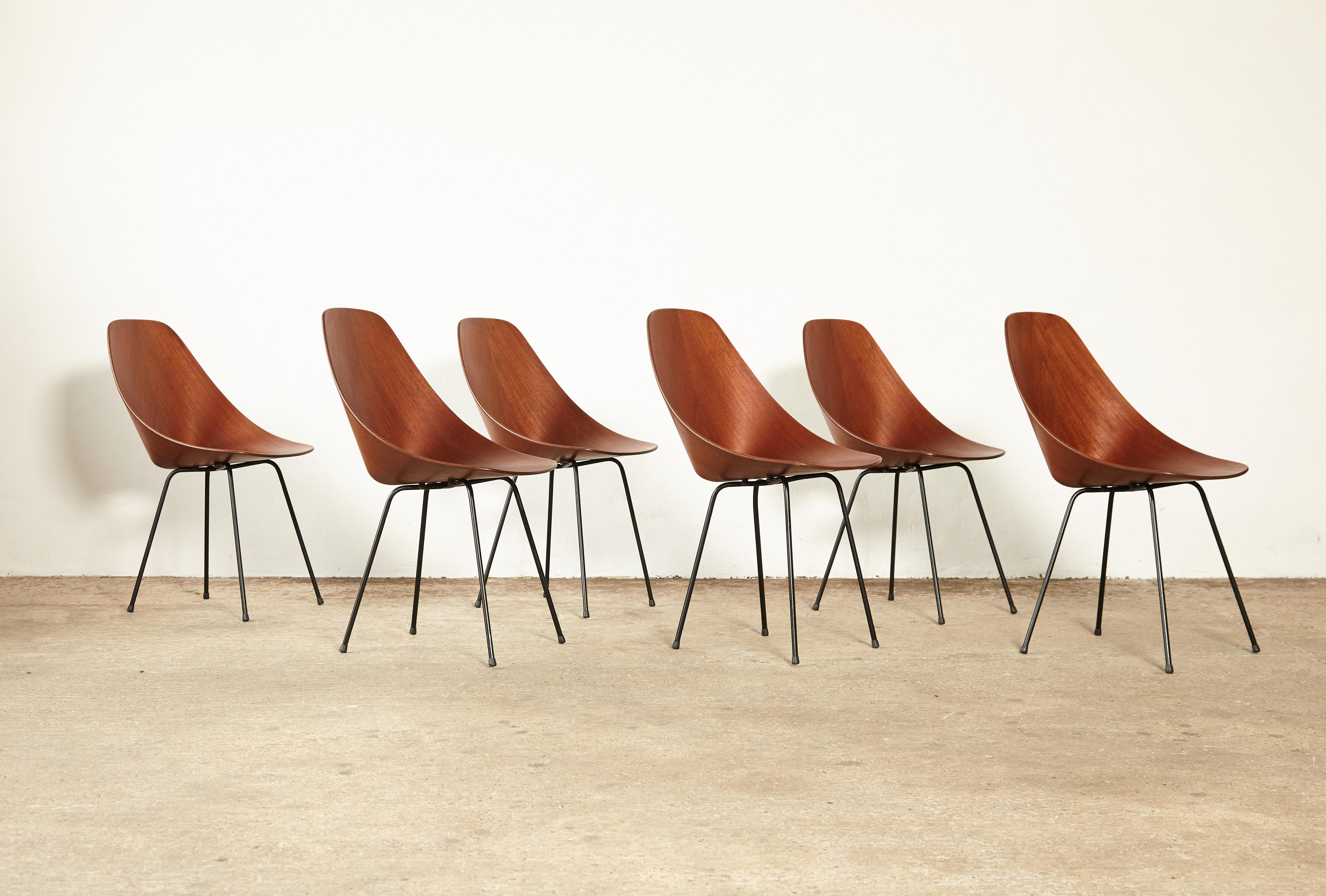 Set of Six Medea Chairs by Vittorio Nobili for Fratelli Tagliabue, Italy, 1950s 7