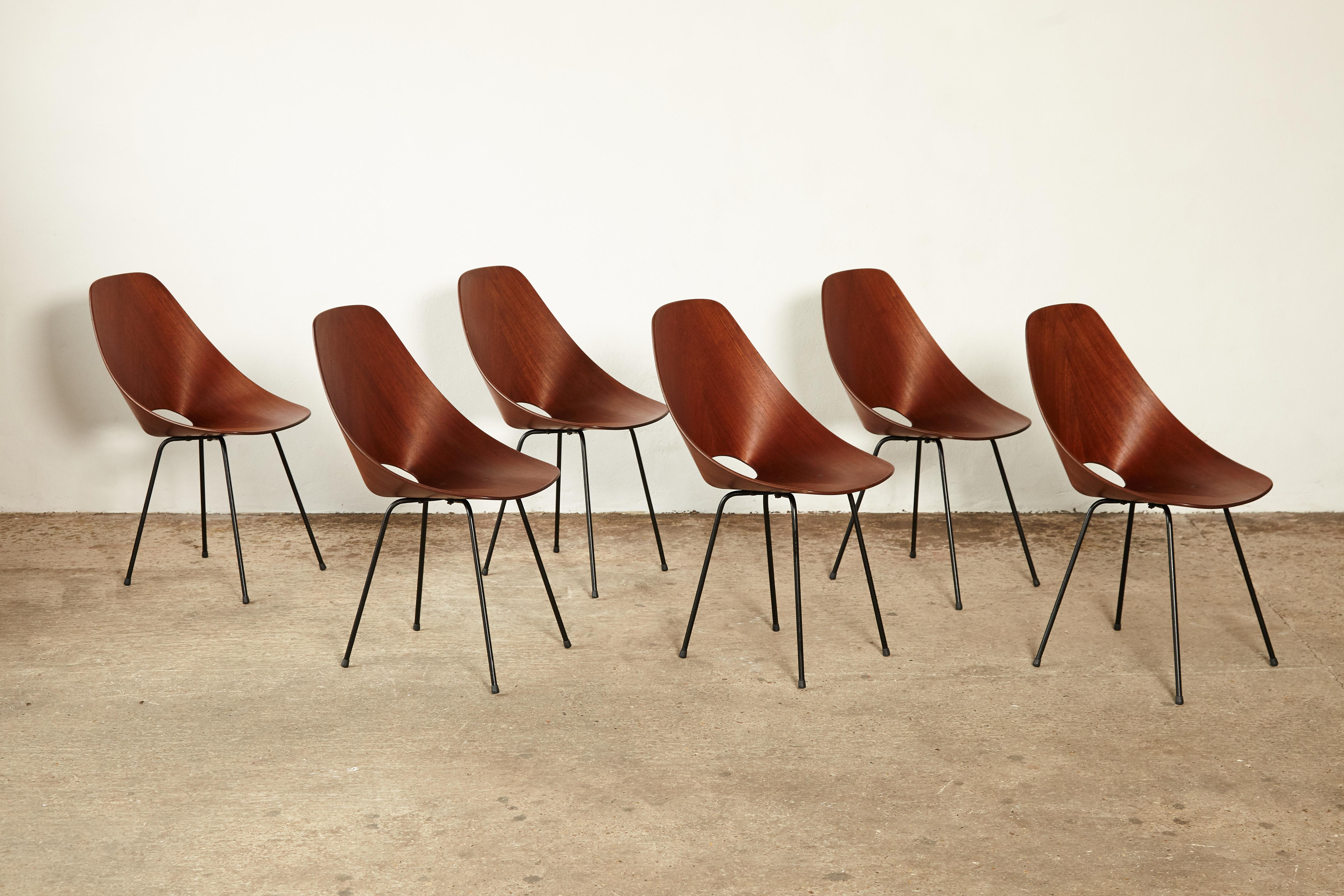 Set of Six Medea Chairs by Vittorio Nobili for Fratelli Tagliabue, Italy, 1950s 8