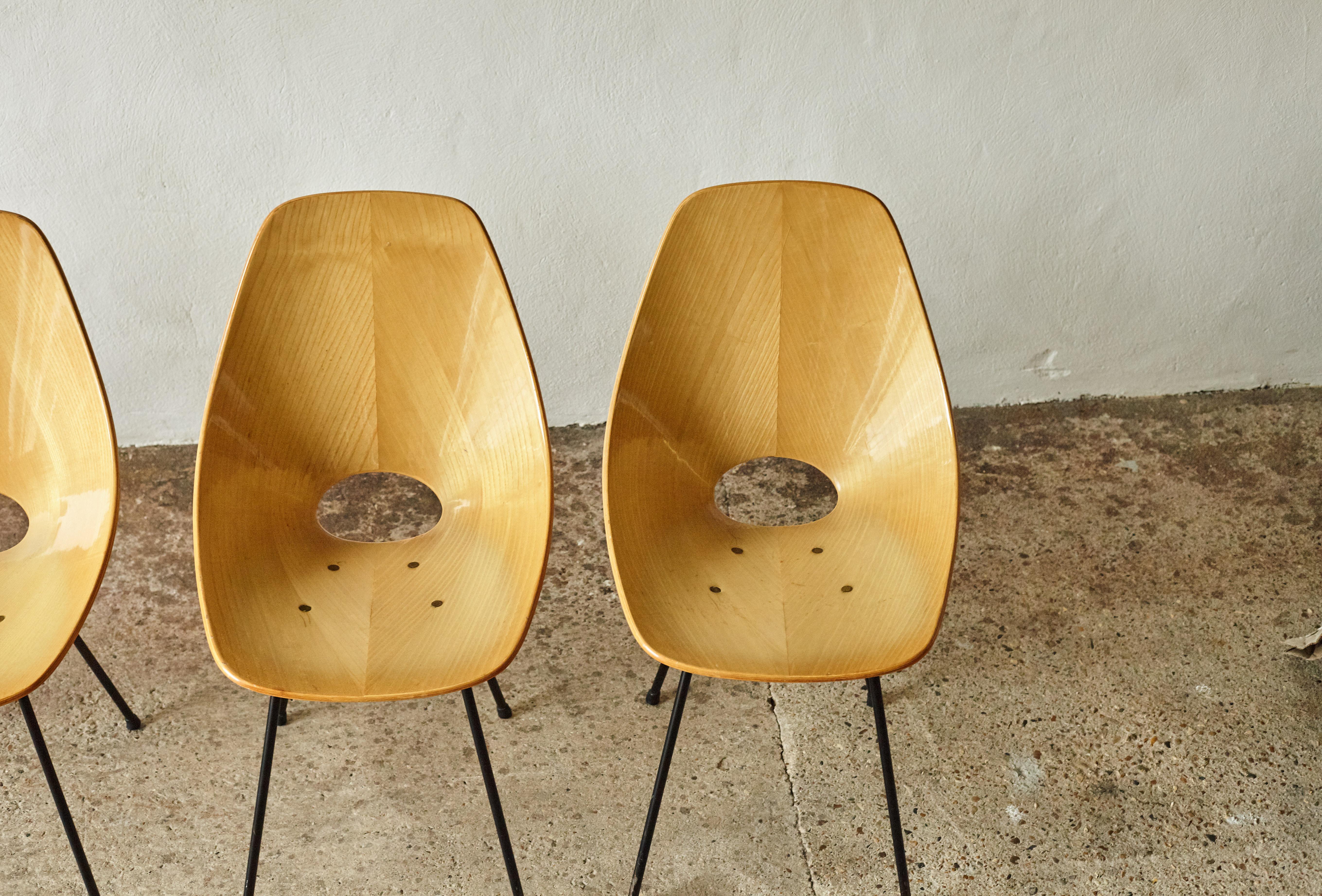 Set of Six Medea Chairs by Vittorio Nobili for Fratelli Tagliabue, Italy, 1950s 10