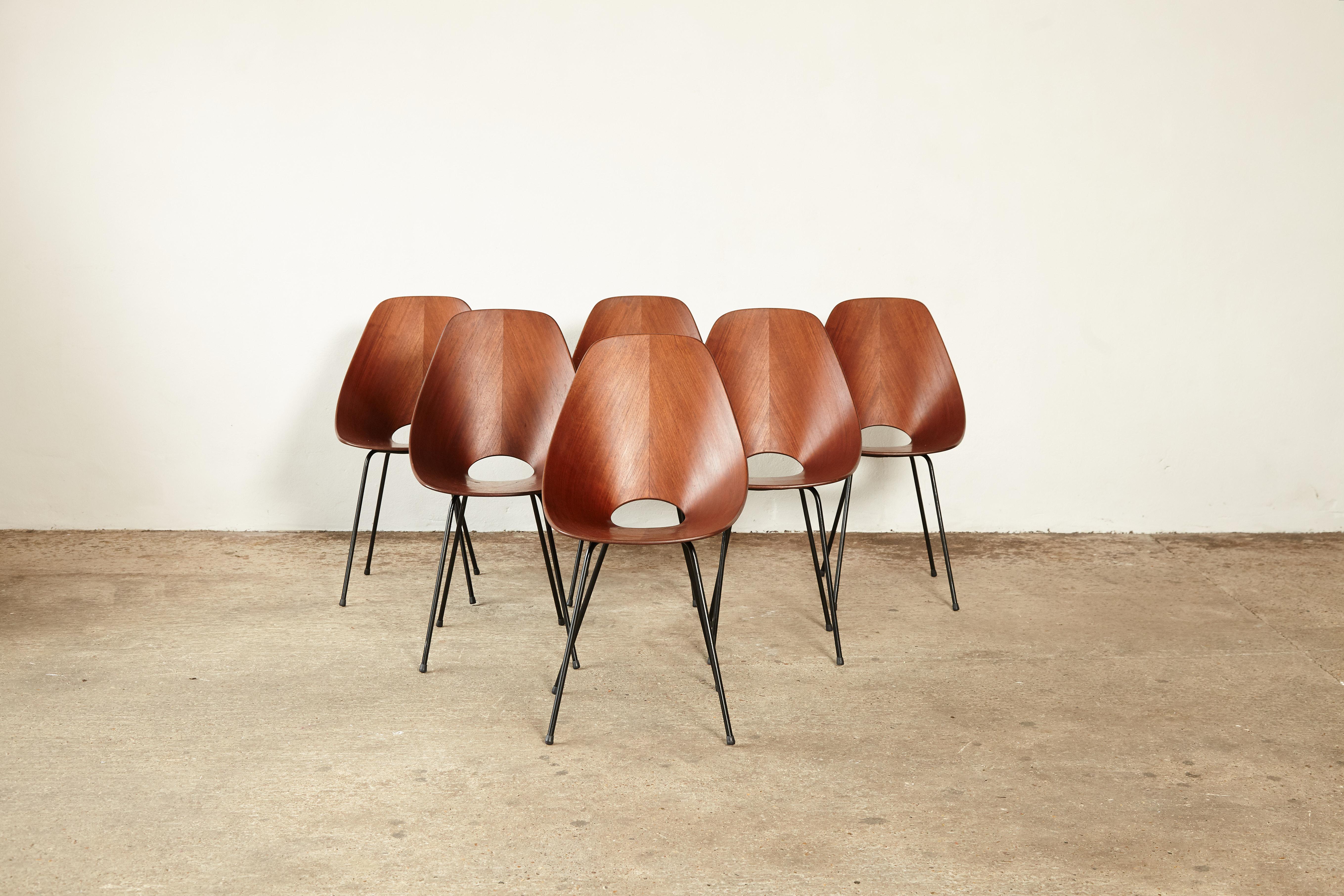 Mid-Century Modern Set of Six Medea Chairs by Vittorio Nobili for Fratelli Tagliabue, Italy, 1950s