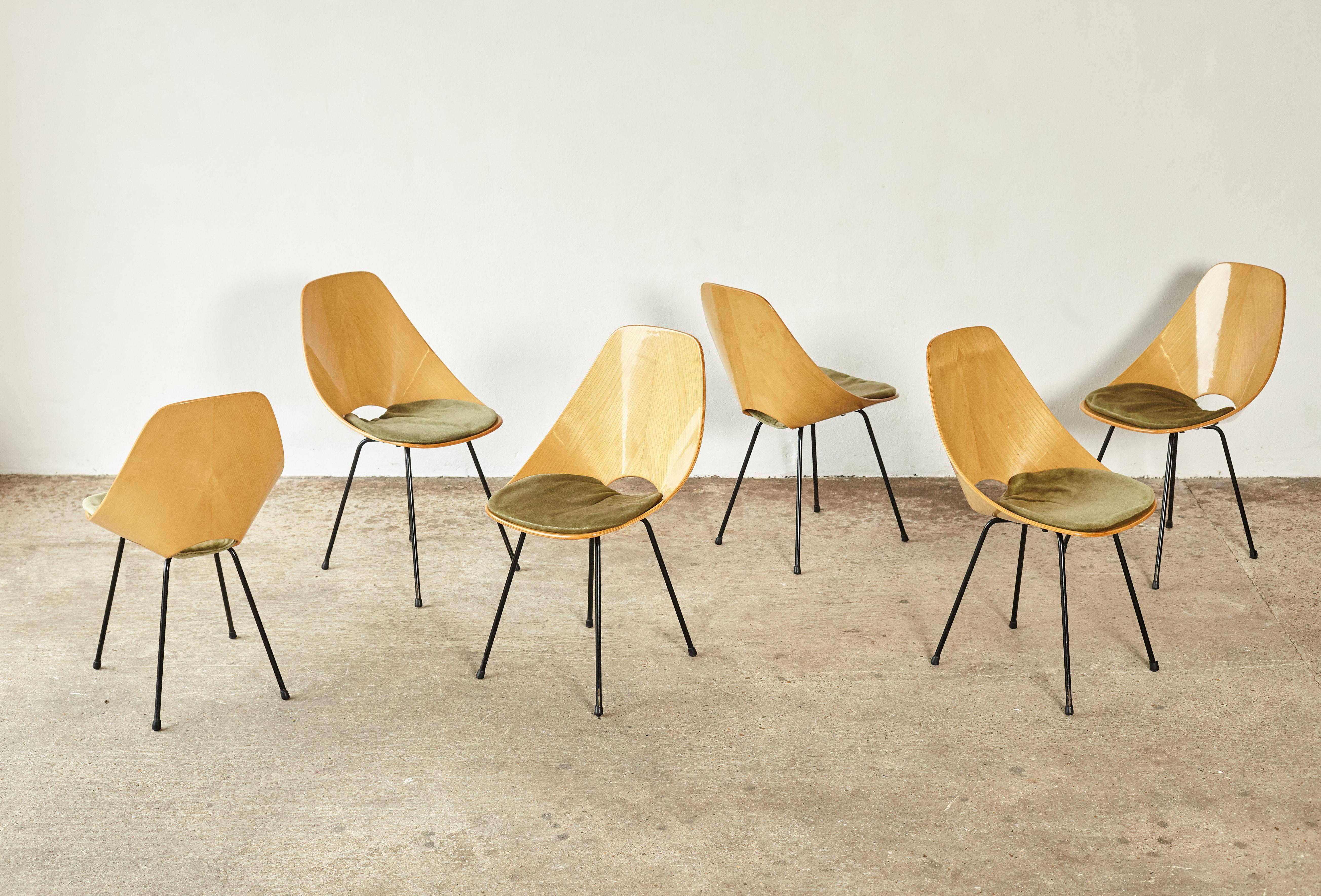 Mid-Century Modern Set of Six Medea Chairs by Vittorio Nobili for Fratelli Tagliabue, Italy, 1950s