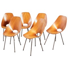 Ensemble de six chaises Medea de Vittorio Nobili pour Fratelli Tagliabue, Italie, années 50