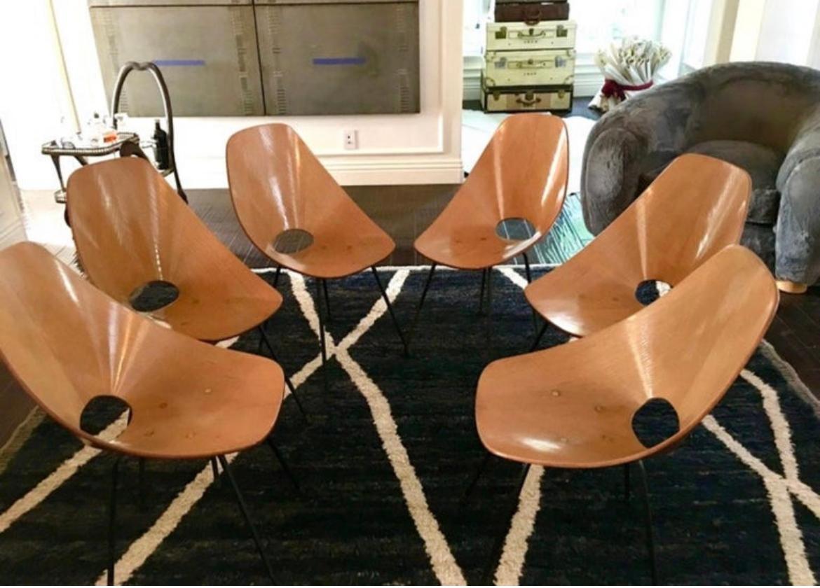 Magnifique ensemble de six chaises Medea par Vittorio Nobilis en très bon état, Italie, années 1950.
