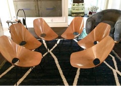 Set of Six Medea Chairs by Vittorio Nobili