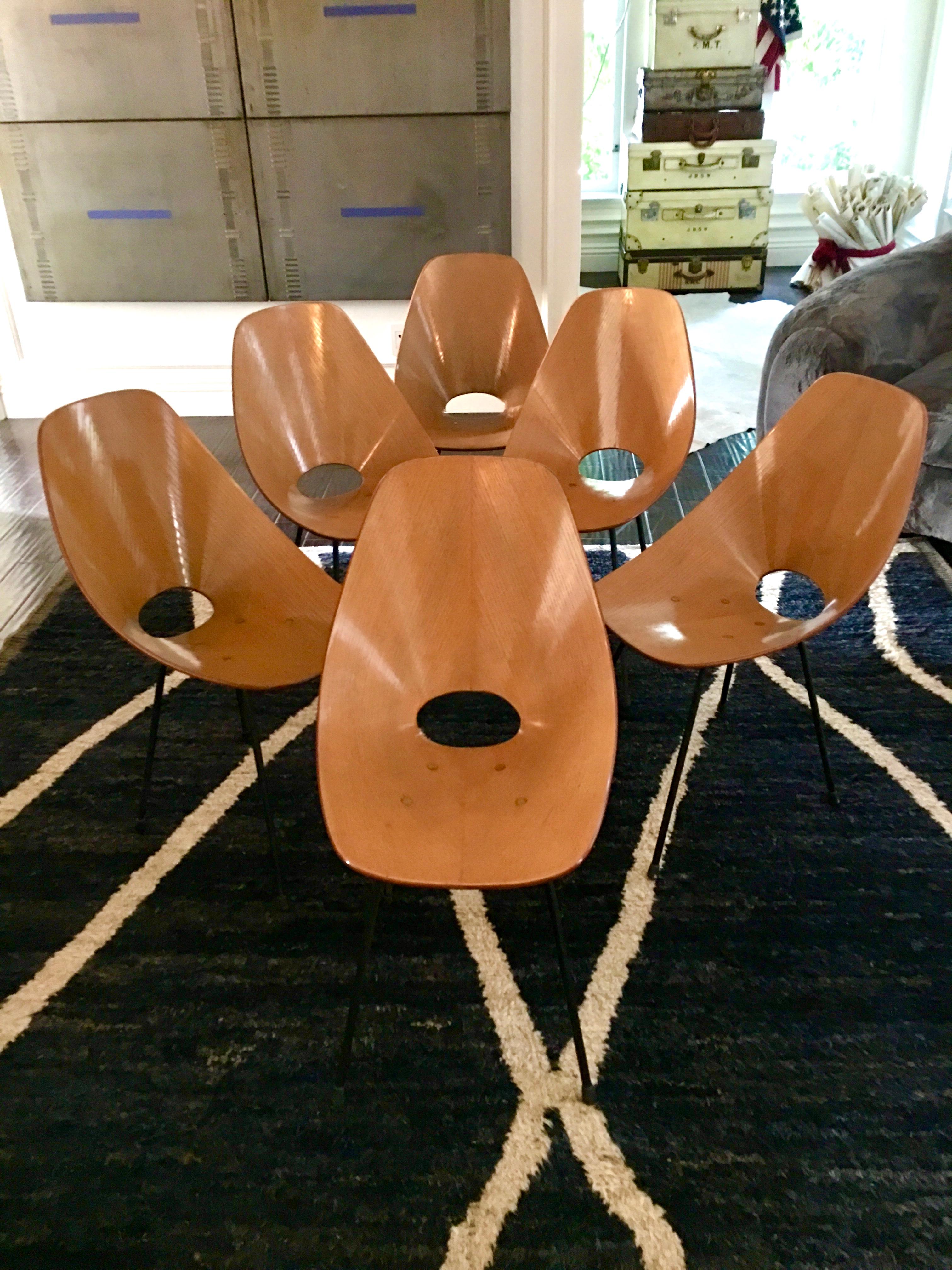 Set of Six Medea Chairs by Vittorio Nobili In Good Condition In Los Angeles, CA