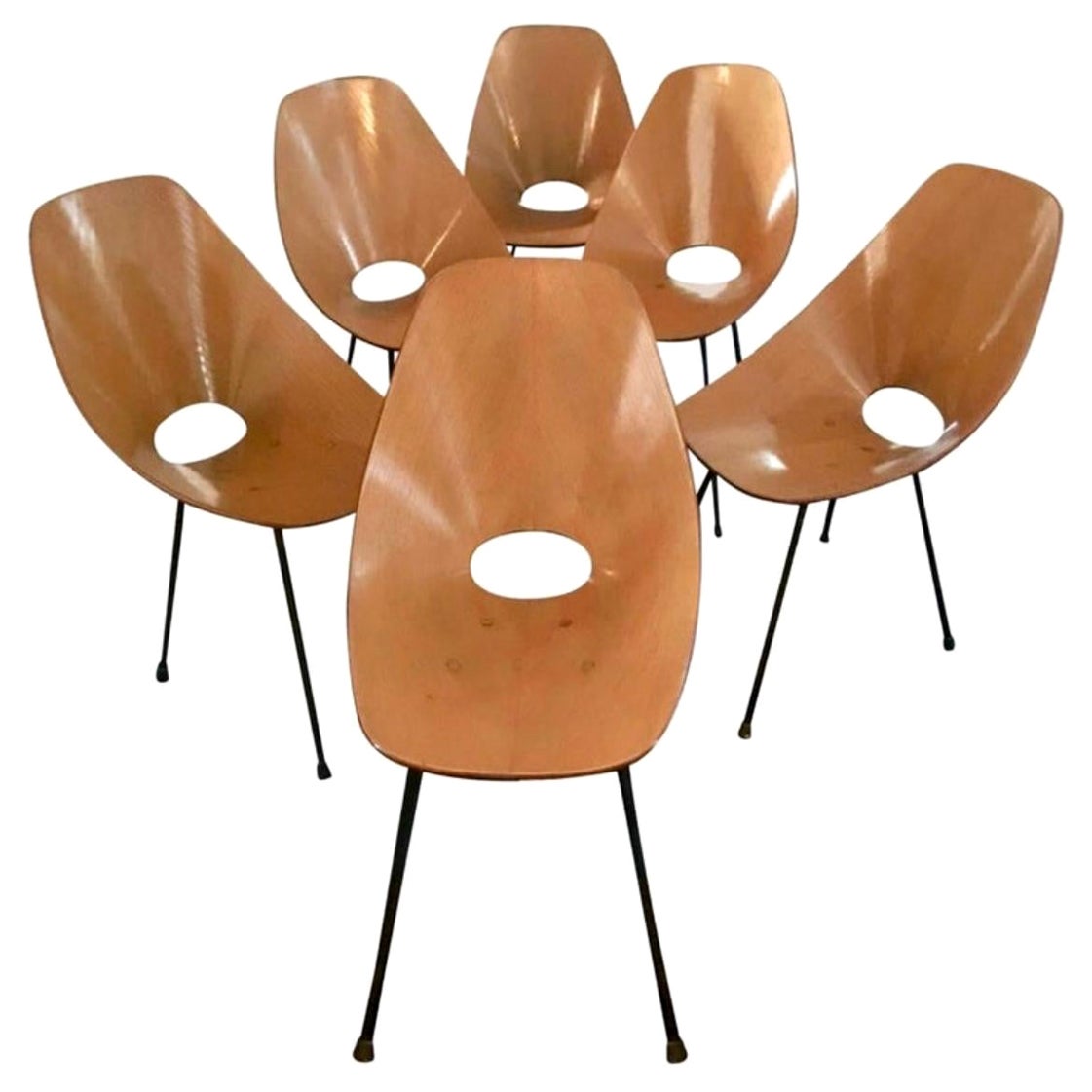 Ensemble de six chaises Medea de Vittorio Nobili