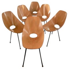Ensemble de six chaises Medea de Vittorio Nobili