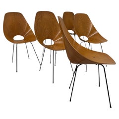 Set of Six Medea Chairs by Vittorio Nobili