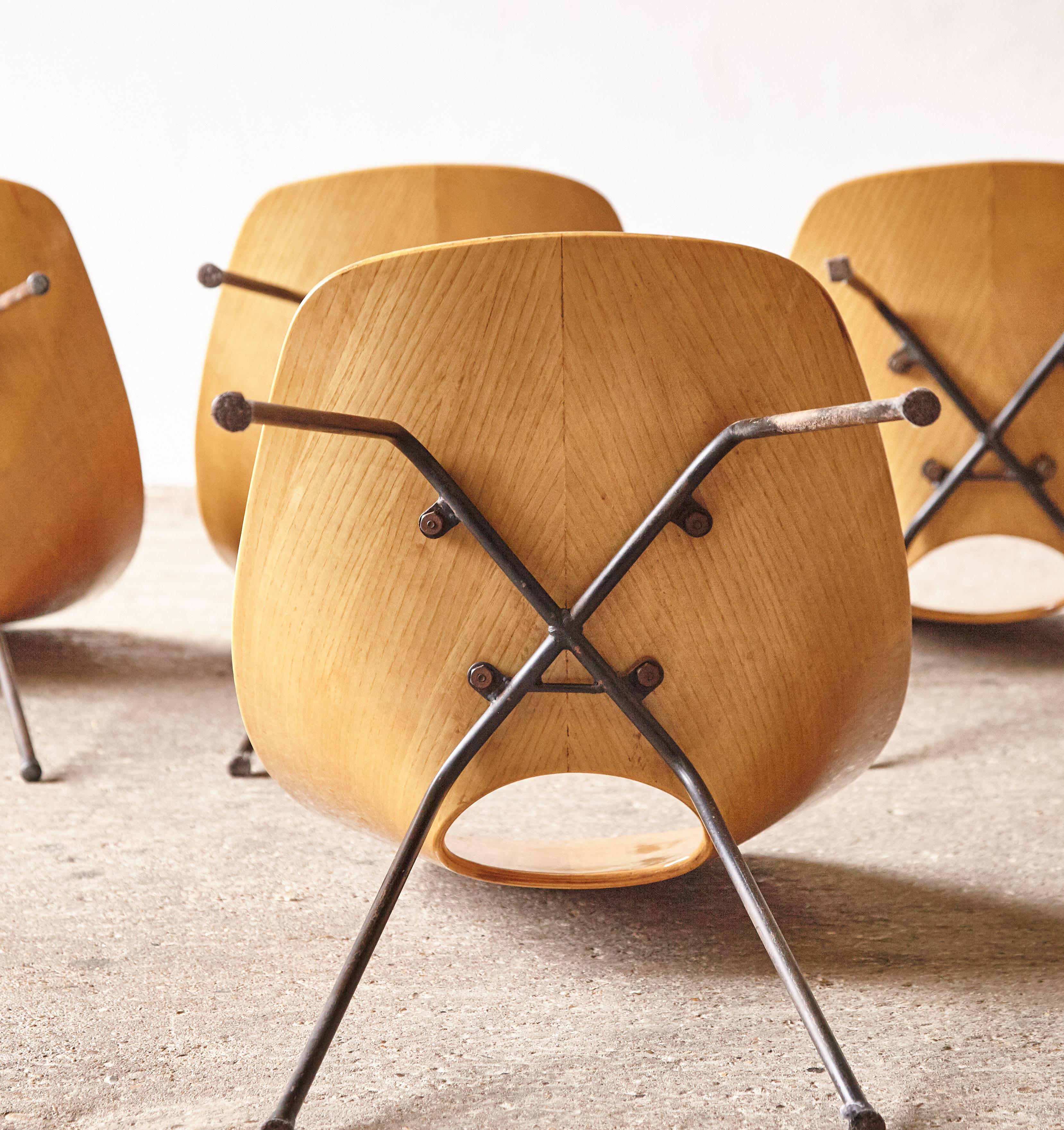 Set of Six Medea Chairs by Vittorio Nobili, Fratelli Tagliabue, Italy, 1950s 7