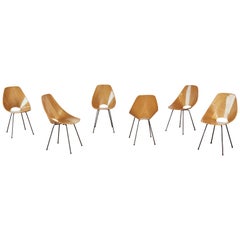 Set of Six Medea Chairs by Vittorio Nobili, Fratelli Tagliabue, Italy, 1950s