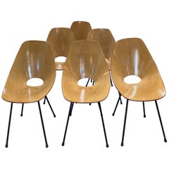 Vintage Set of Six "Medea" Chairs by Vittorio Nobili, Italy, 1955