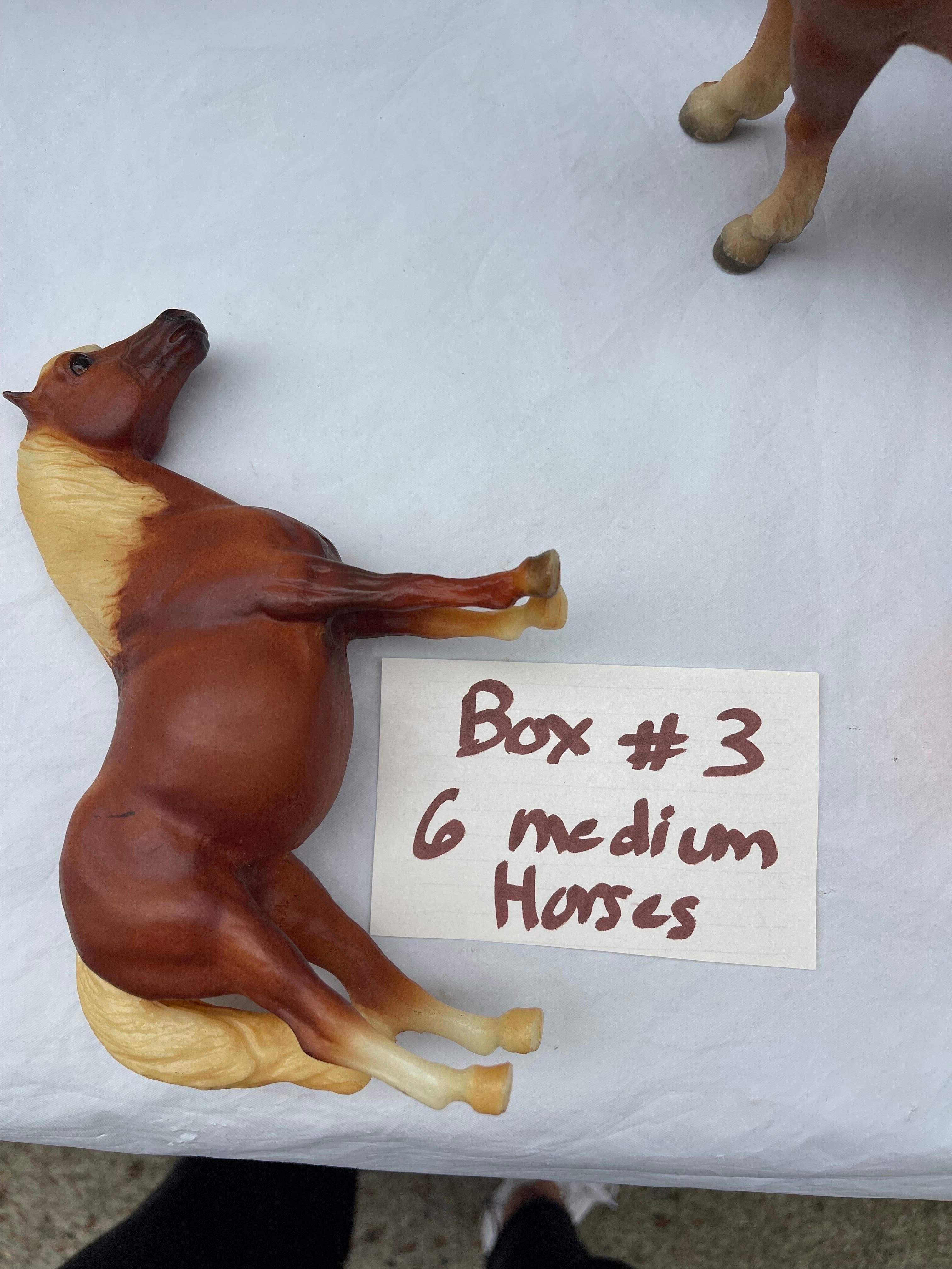  Set von sechs mittelgroßen Vintage-Bürgerpferden (Kasten 3) im Angebot 13