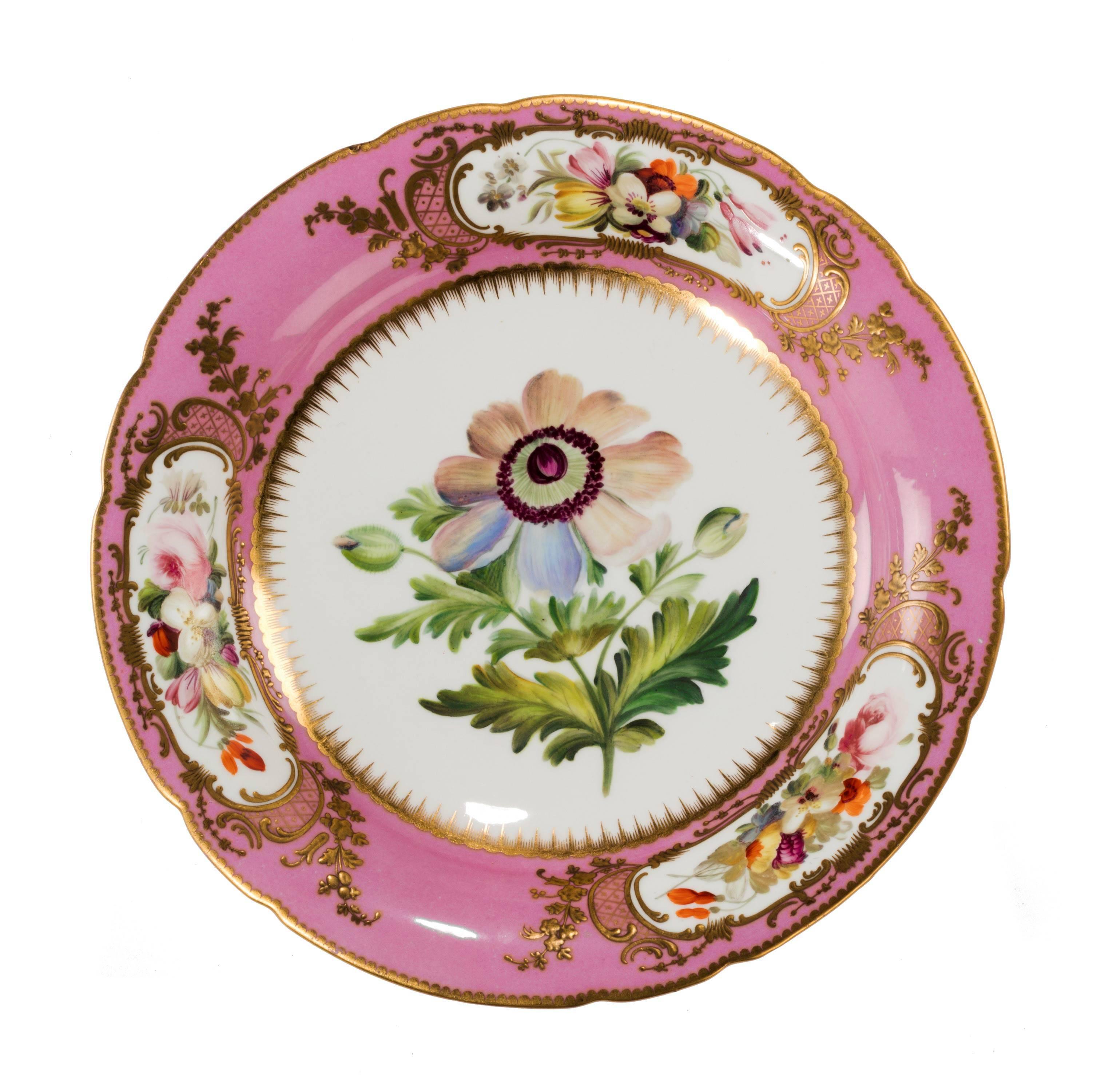 A fine set of six English porcelain botanical plates consisting of two dessert plates and four comports, retailed by Daniell of London. Almost certainly Coalport. Finely painted with swathes of flowers and foliage within borders of raised gilded