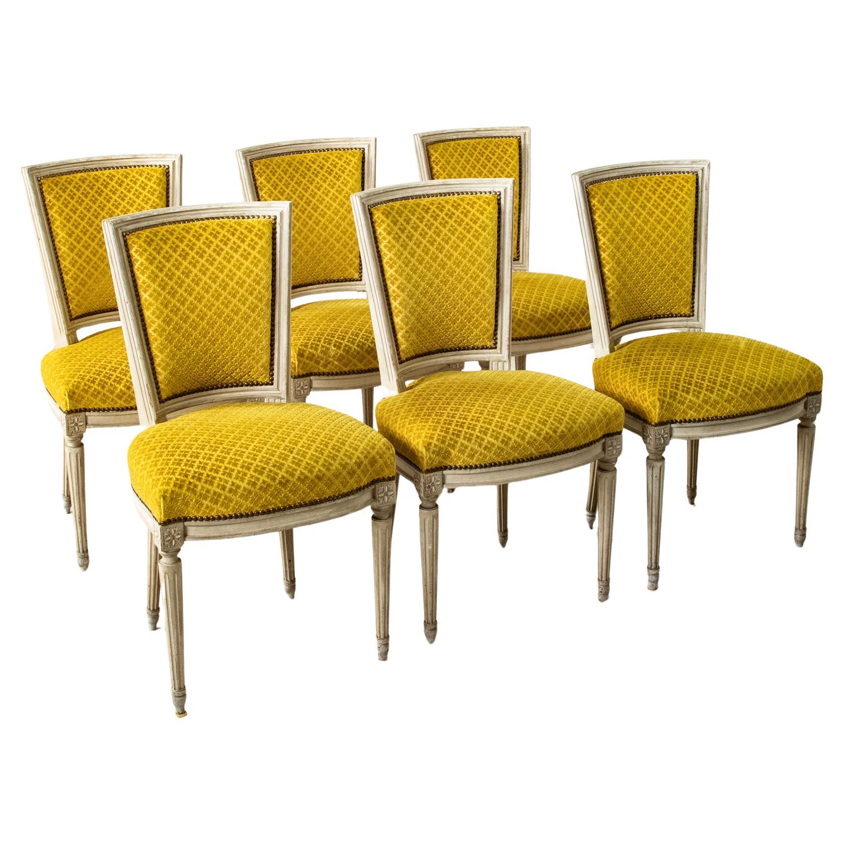 Ensemble de six chaises de salle à manger ou d'appoint peintes de style Louis XVI, du milieu du 20e siècle, en France