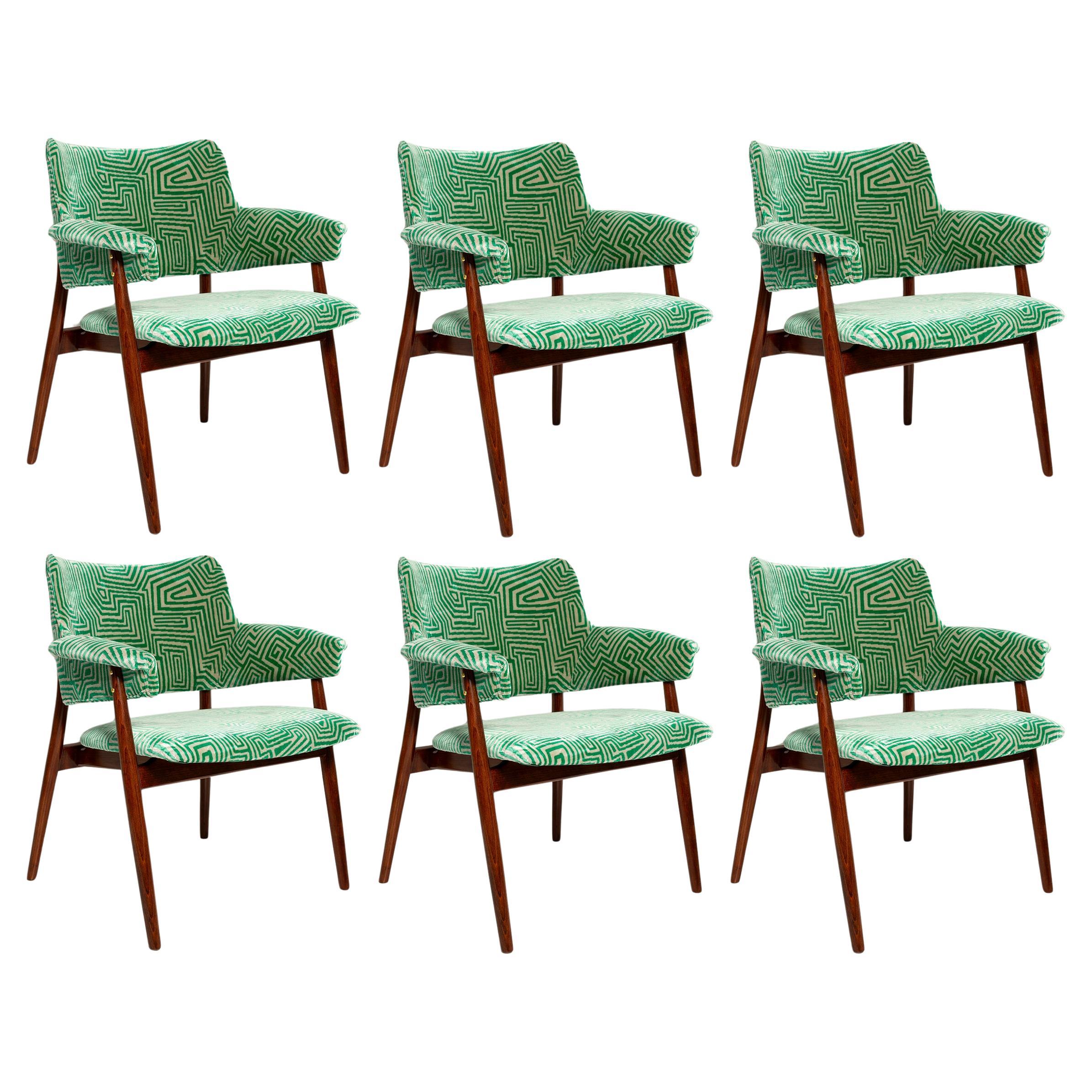 Set di sei poltrone di metà secolo, Dedar Jamu Jungling, tipo B-6148, Europa, anni '60