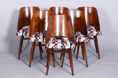 Set di sei sedie in faggio del Medioevo, Oswald Heardtl, restaurate, Cechia, anni '50