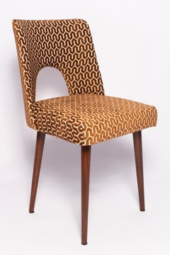 Set of Six Mid-Century Chocolate Brown 'Shell' Chairs, Europe, 1960s