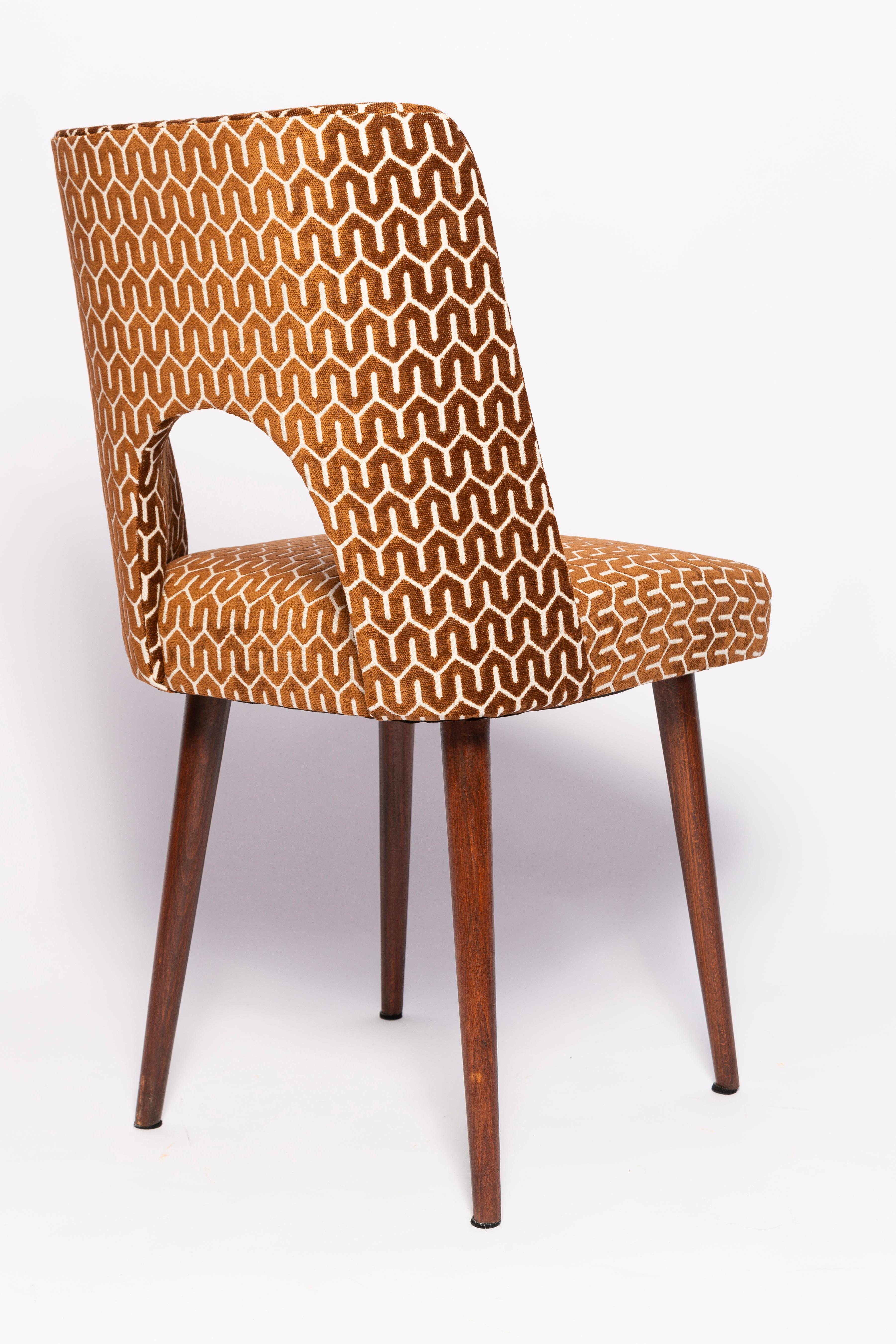 Textile Set of Six Mid-Century Chocolate Brown 'Shell' Chairs, Europe, 1960s For Sale