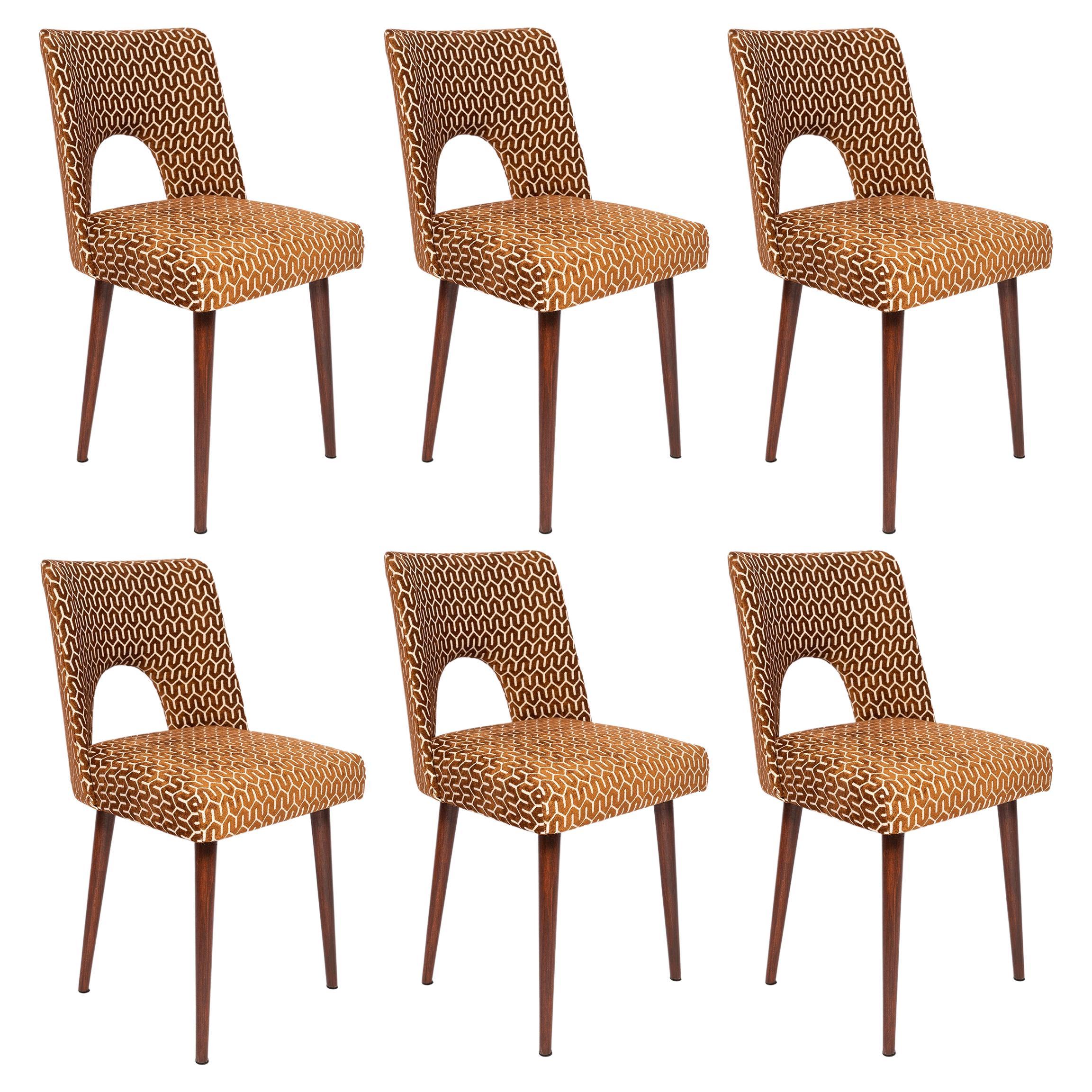 Satz von sechs schokoladenbraunen "Muschel"-Stühlen aus der Mitte des Jahrhunderts, Europa, 1960er Jahre