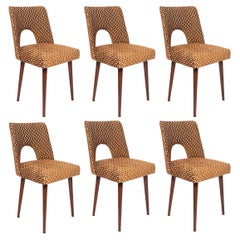 Set of Six Mid-Century Chocolate Brown 'Shell' Chairs, Europe, 1960s