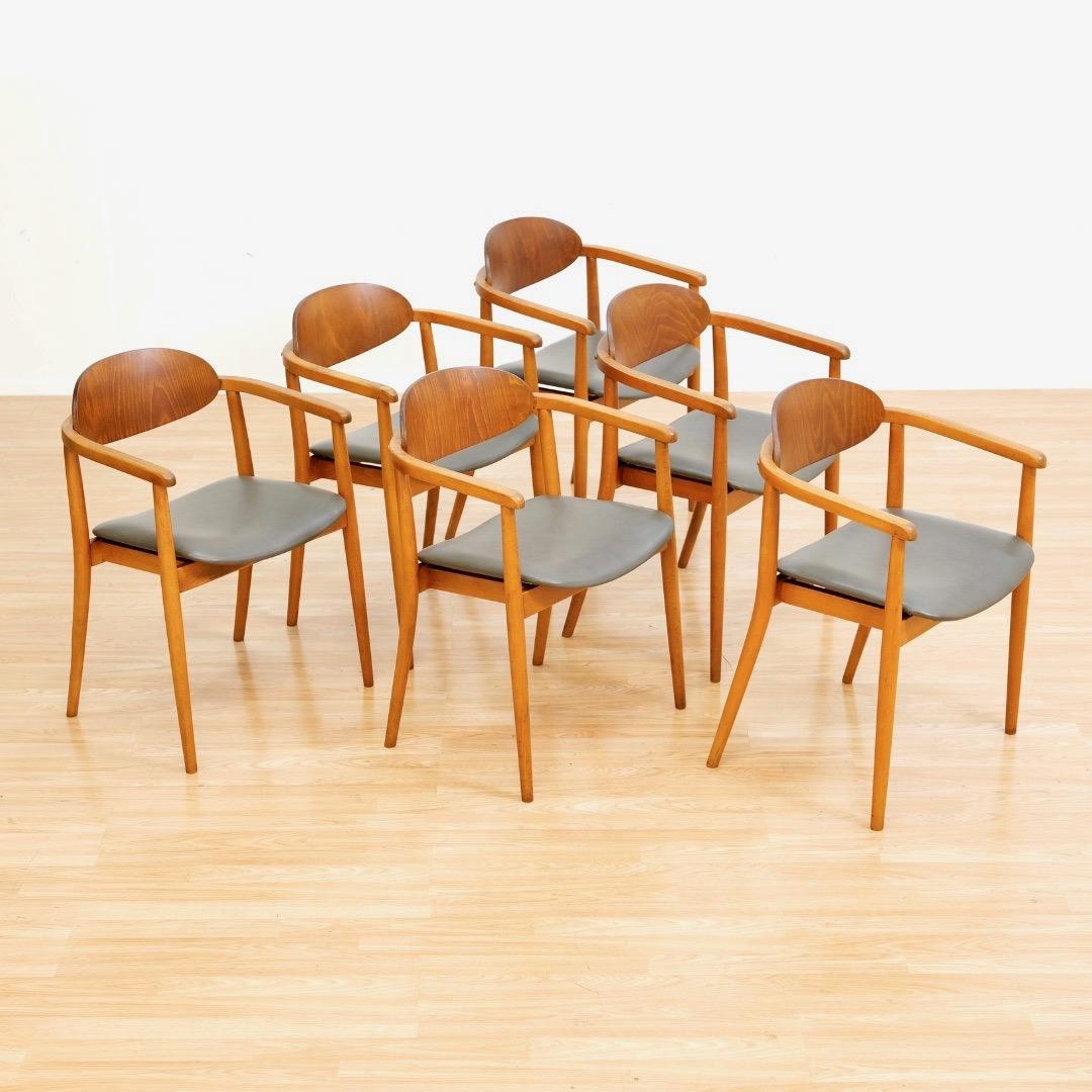 Sechser-Set Mid Century Esszimmerstühle von Antonin Suman für Ligna (Tschechisch) im Angebot